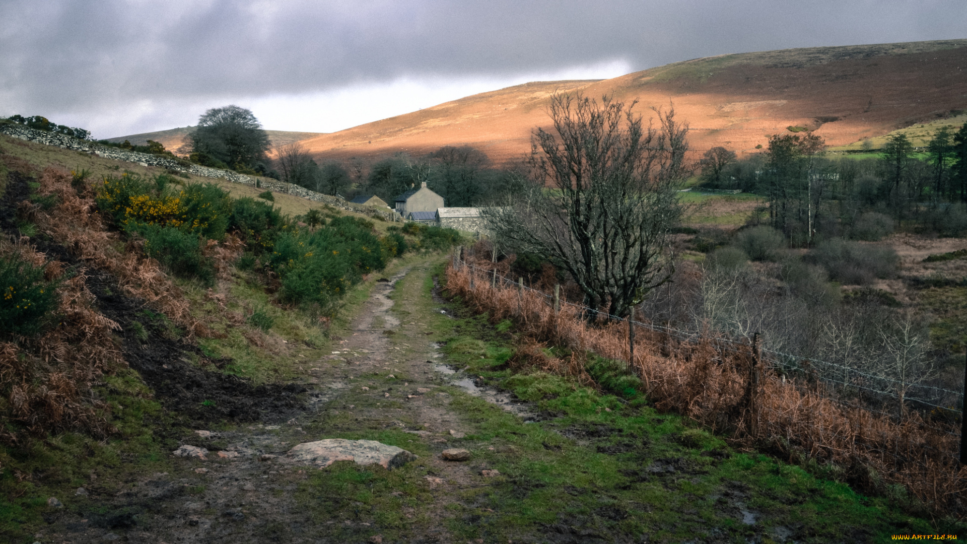 природа, дороги, холмы, тропинка