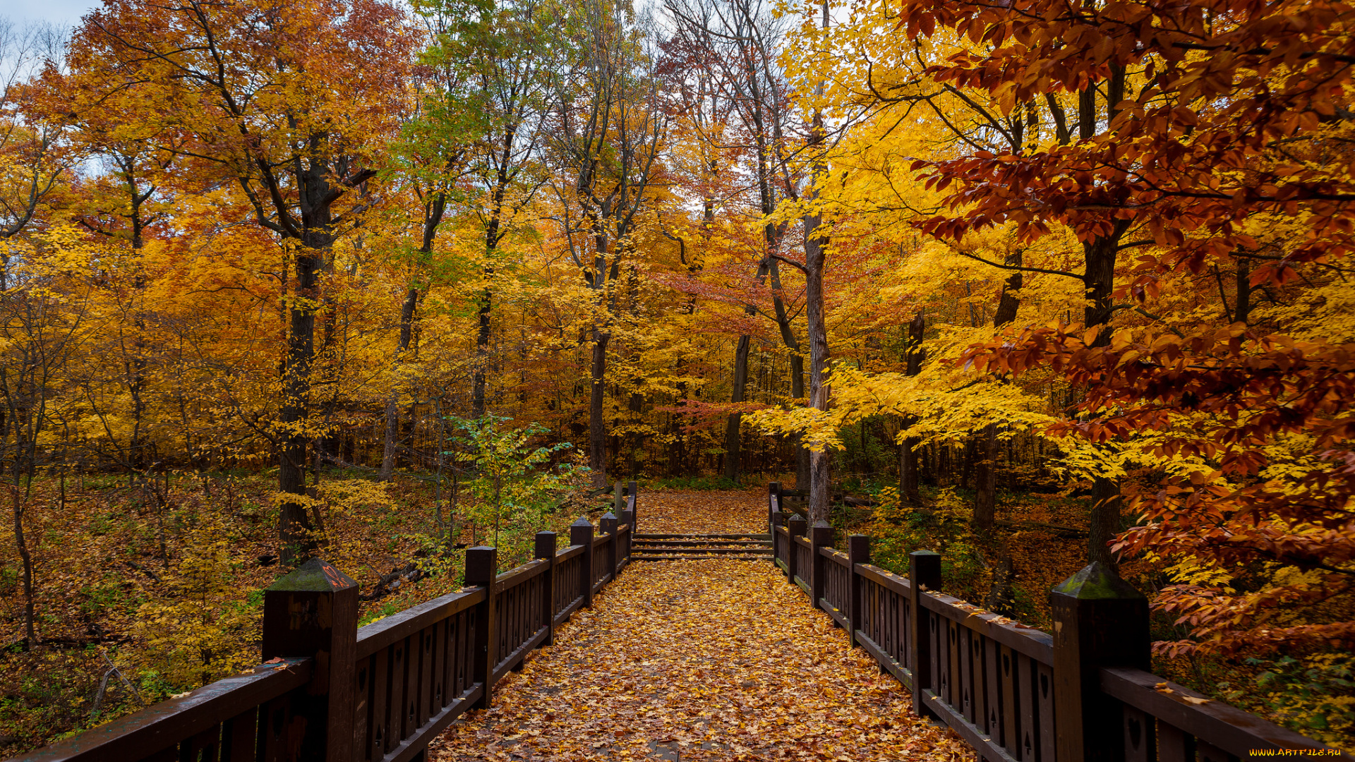 природа, парк, осень, перила, дорожка, листва