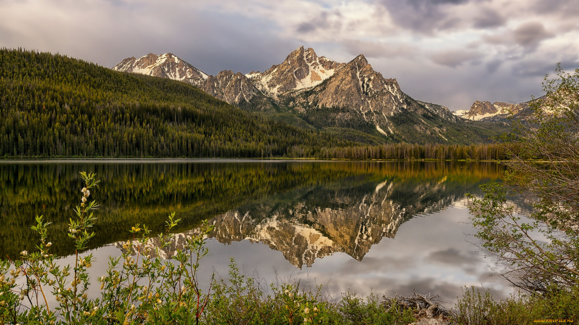 природа, реки, озера, горы, лес, река, отражение