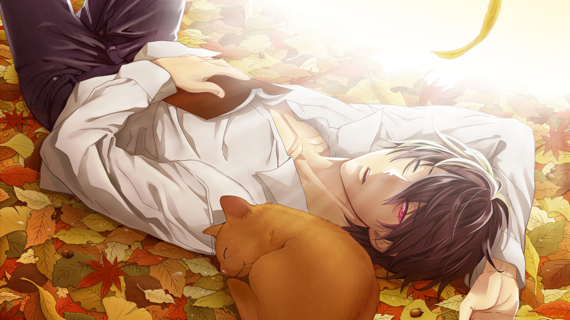 psychic, detective, yakumo, аниме, shinrei, tantei, yakumo, листья, кот, парень, глаз, школьник, рубашка, осень