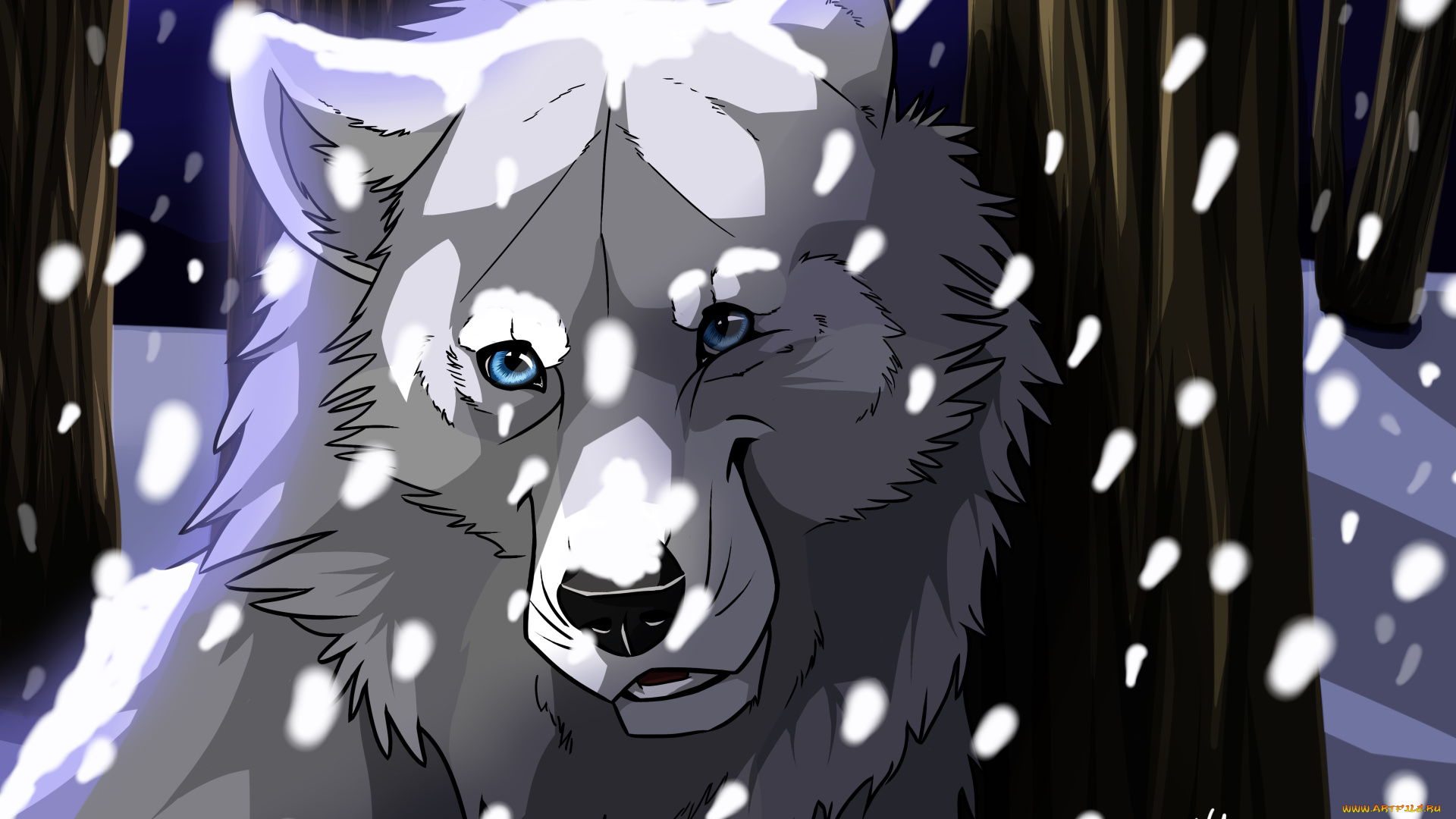 рисованное, животные, , волки, взгляд, волк