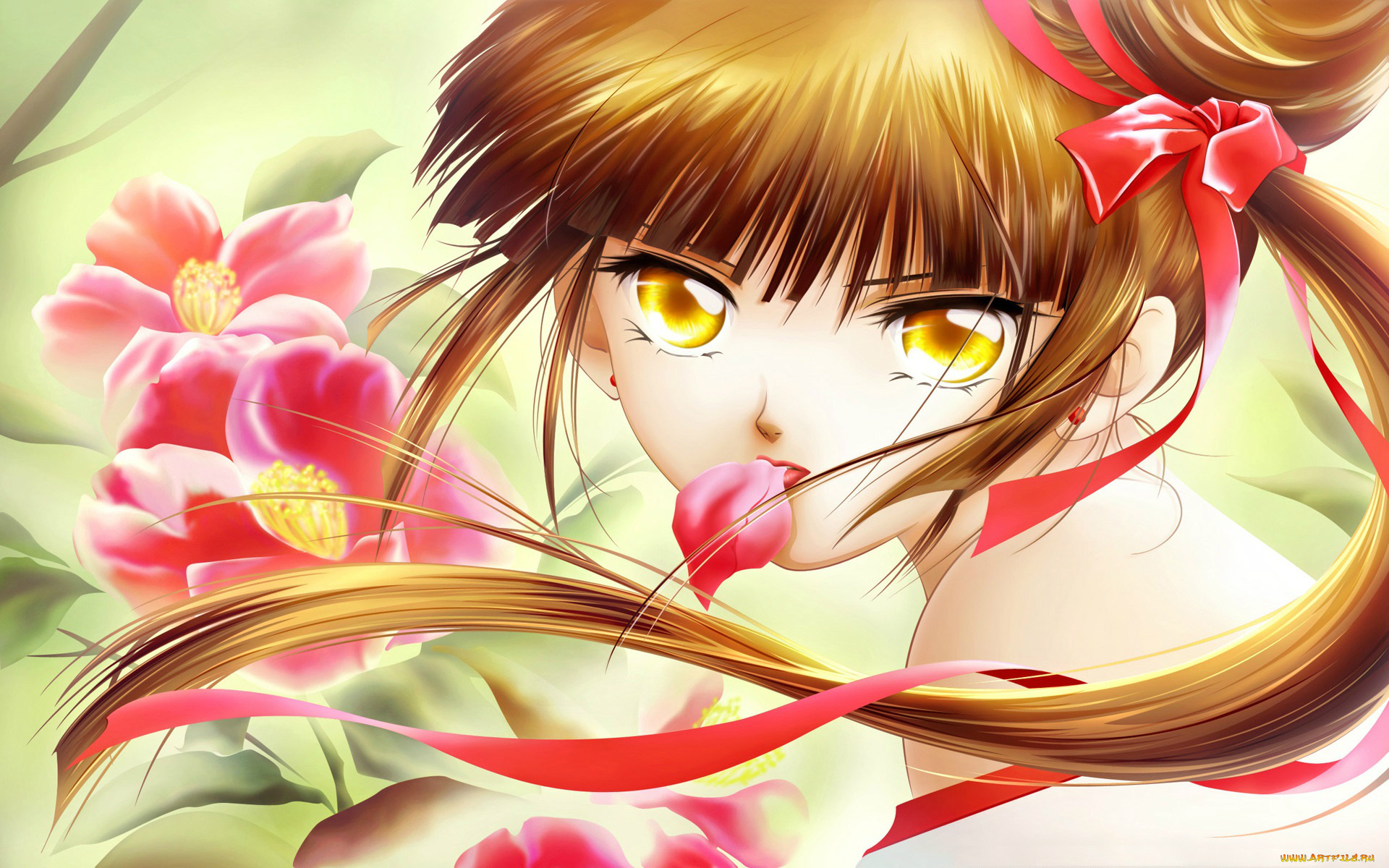 аниме, vampire, princess, miyu, цветы, ленточка, волосы, взгляд, лицо, девушка, принцесса, vampire, princess, miyu