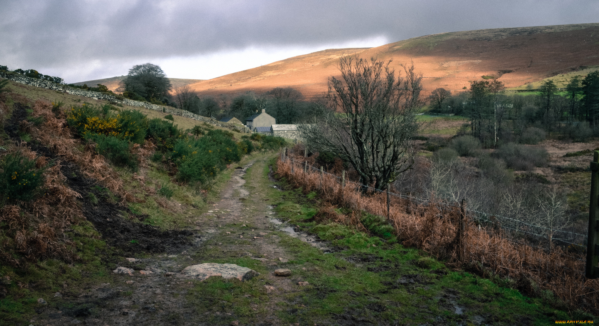 природа, дороги, холмы, тропинка