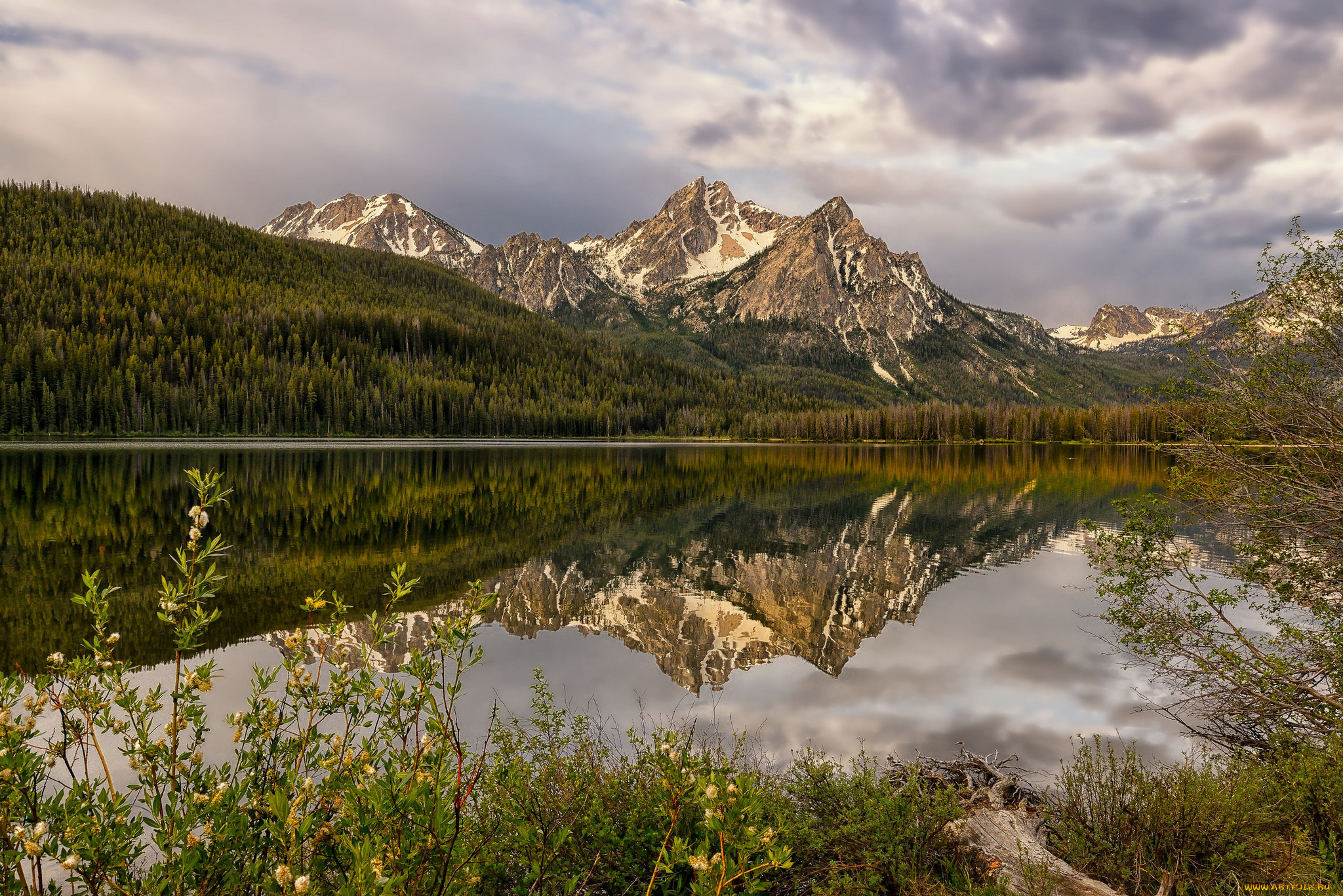 природа, реки, озера, горы, лес, река, отражение