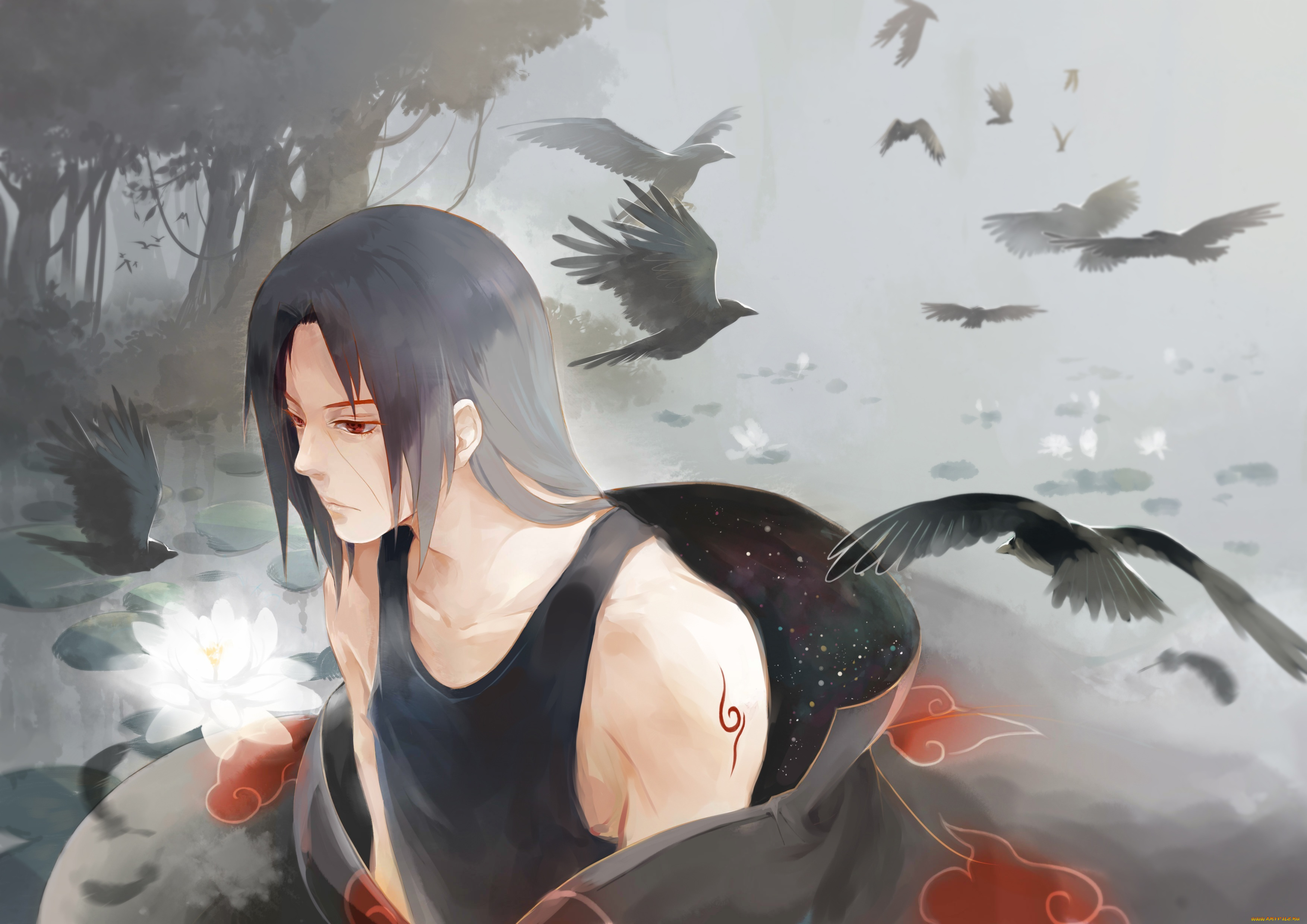 аниме, naruto, art, itachi, uchiha, вороны, лотос, цветок