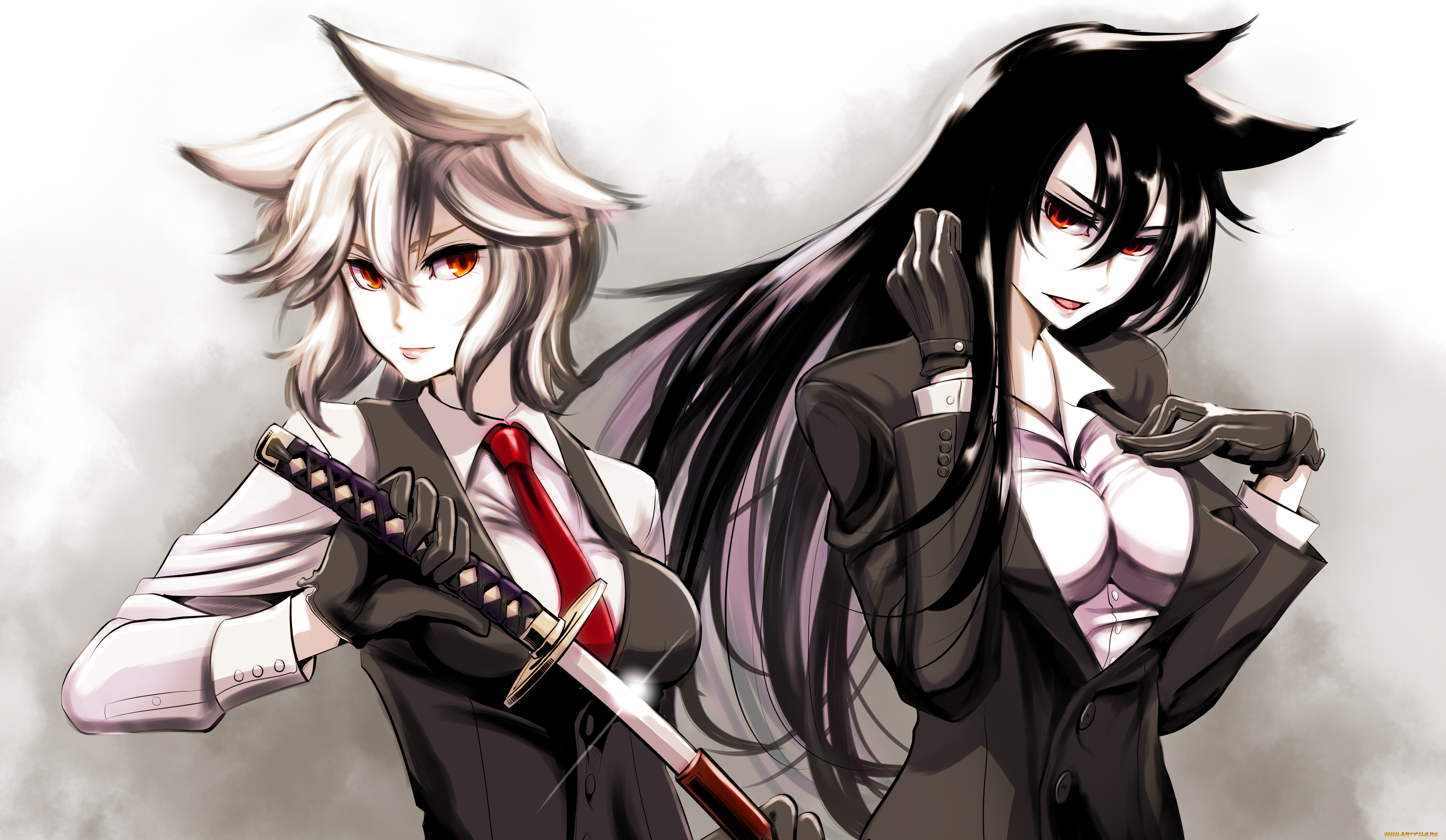 аниме, touhou, imaizumi, kagerou, inubashiri, momiji, kouji, oota, арт, девушки, оружие, меч, ушки