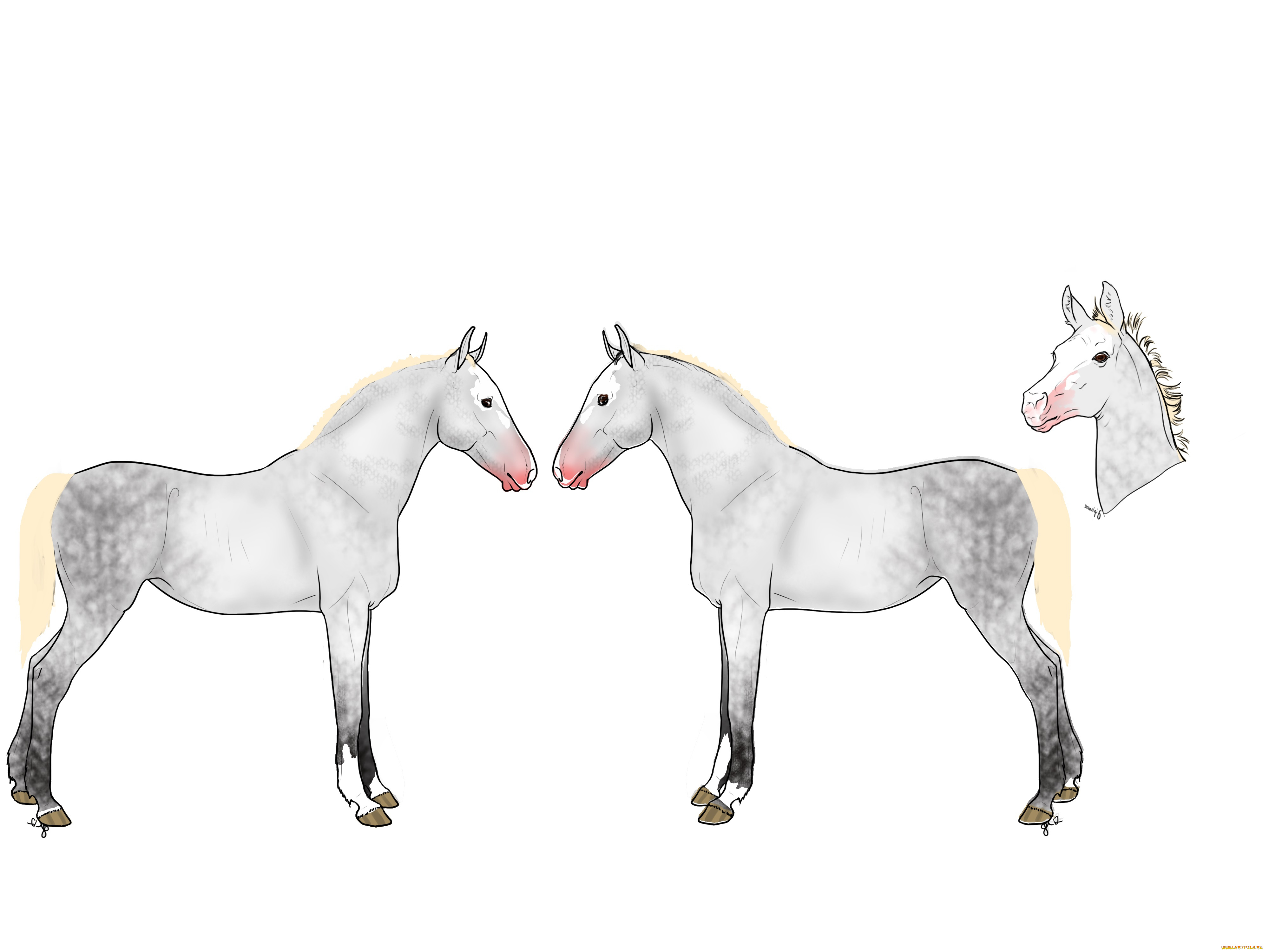 рисованное, животные, , лошади, фон, лошади