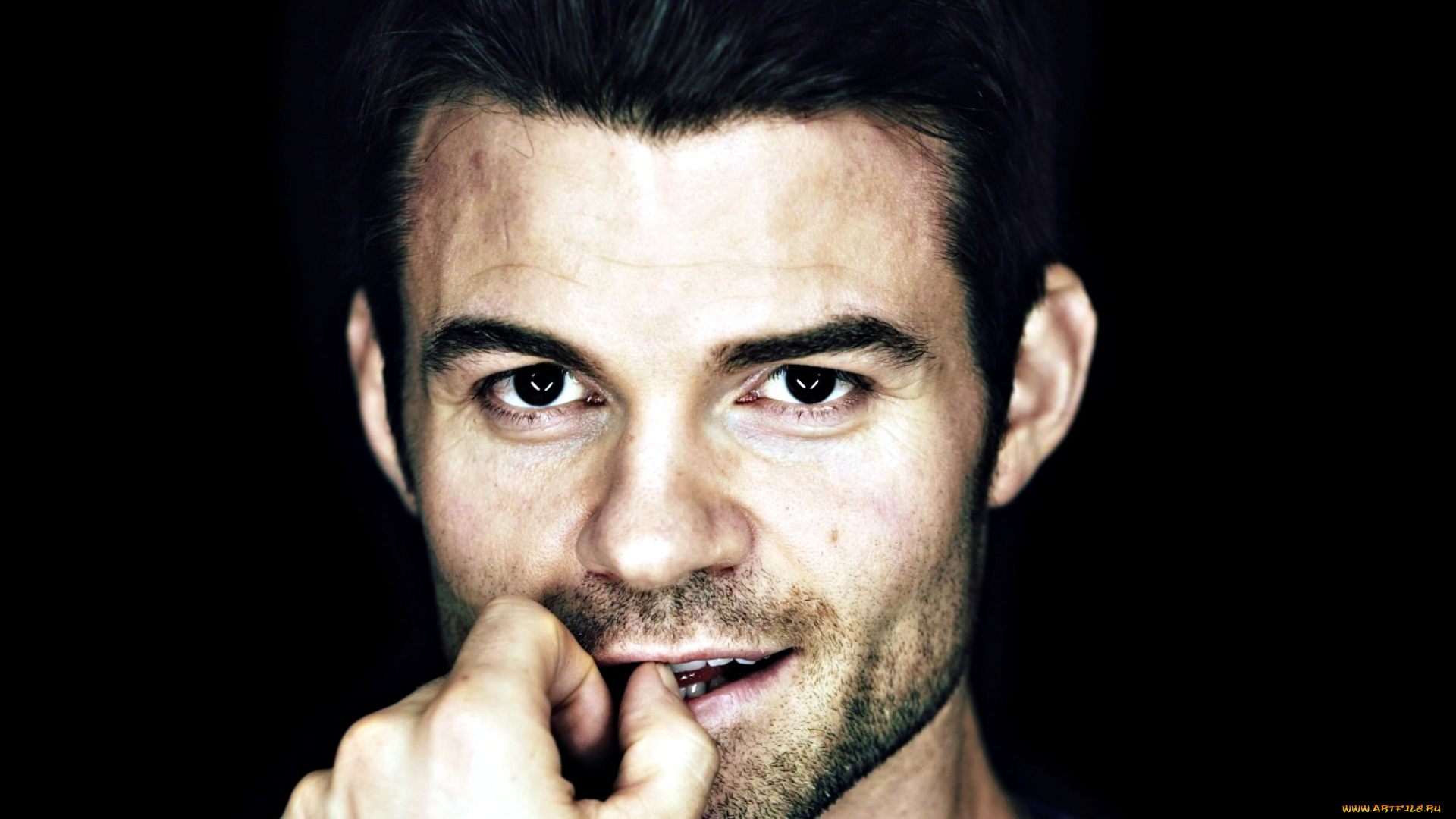 daniel, gillies, мужчины, небритость