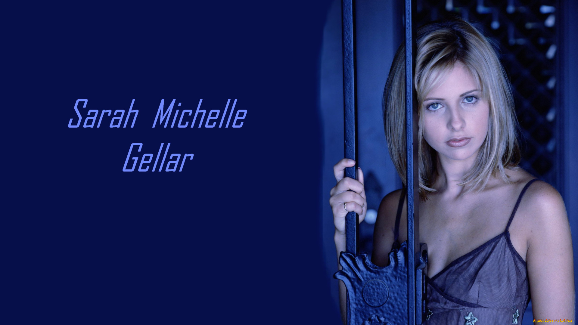 девушки, sarah, michelle, gellar, сара, мишель, геллар, блондинка, взгляд, актриса, ворота, решетка