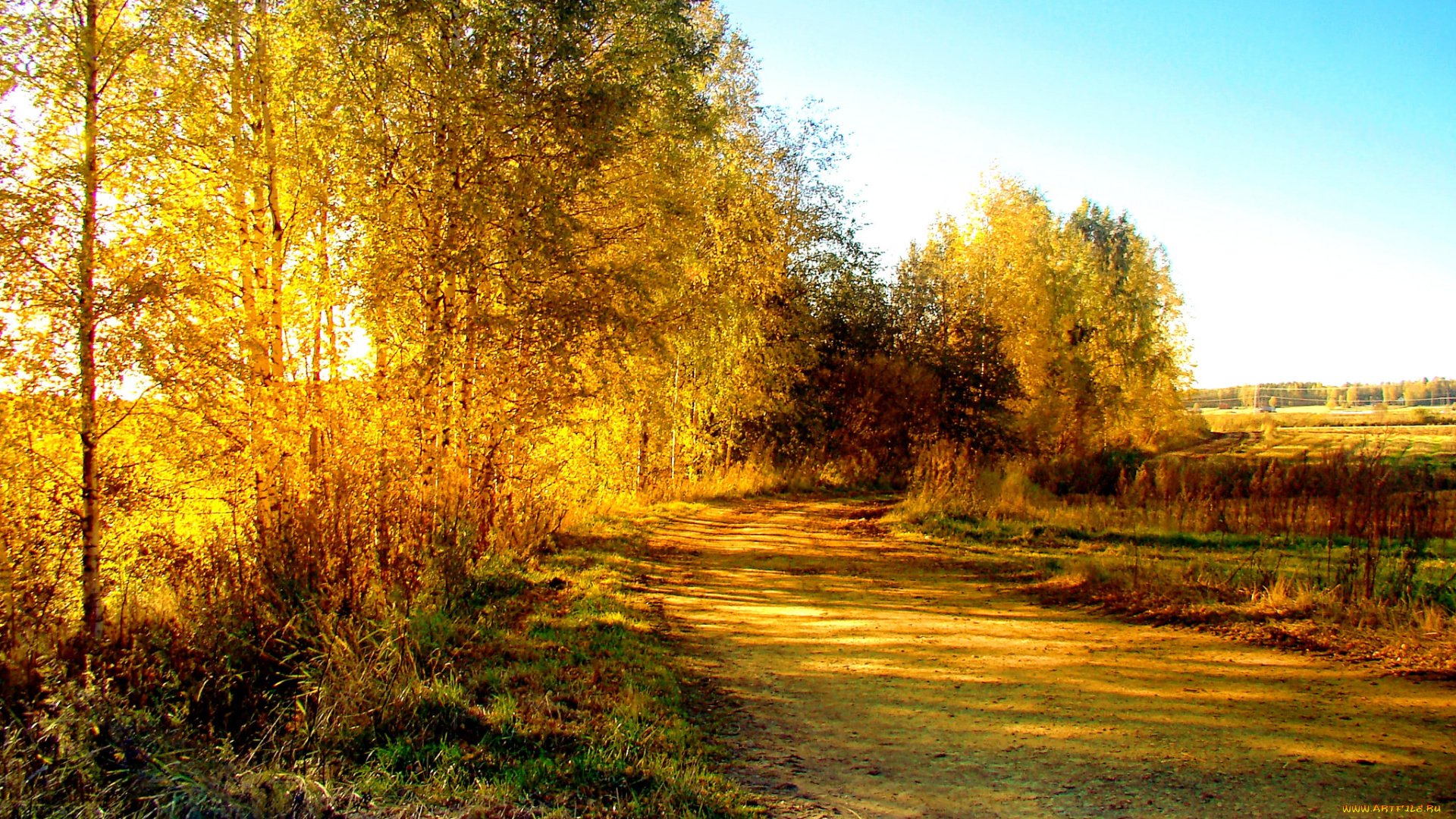 природа, дороги, натура