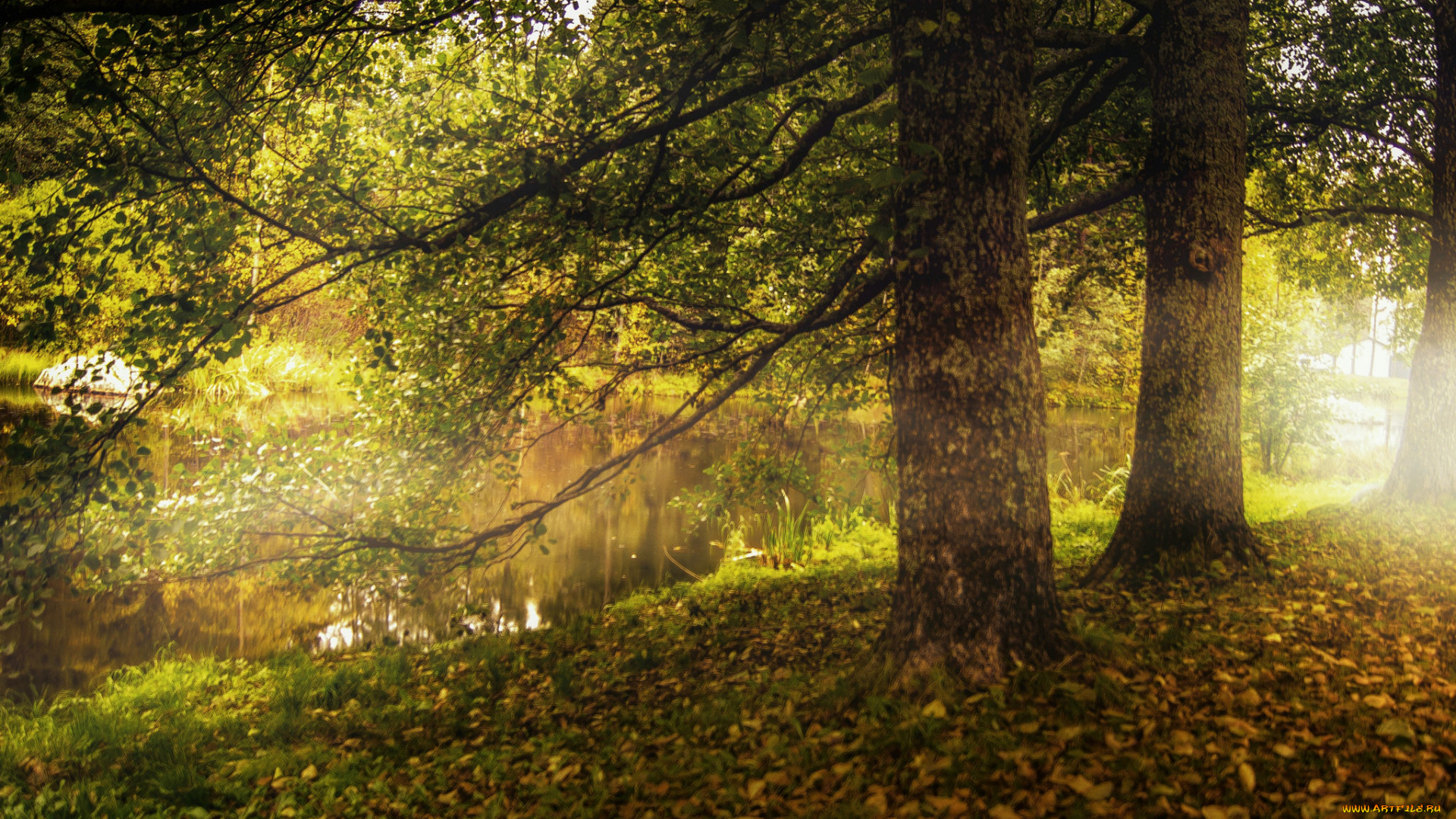 природа, реки, озера, натура