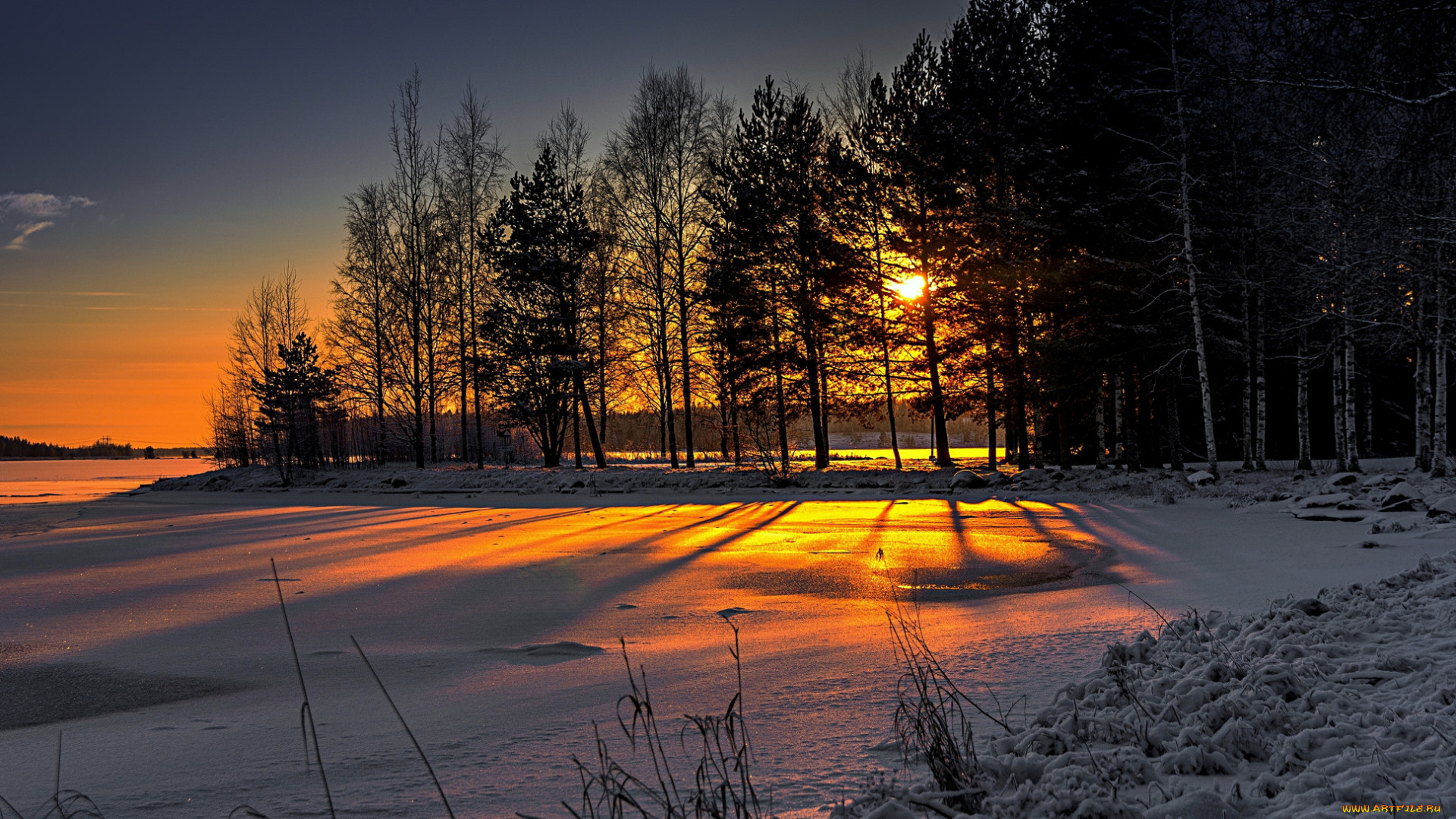 природа, зима, натура