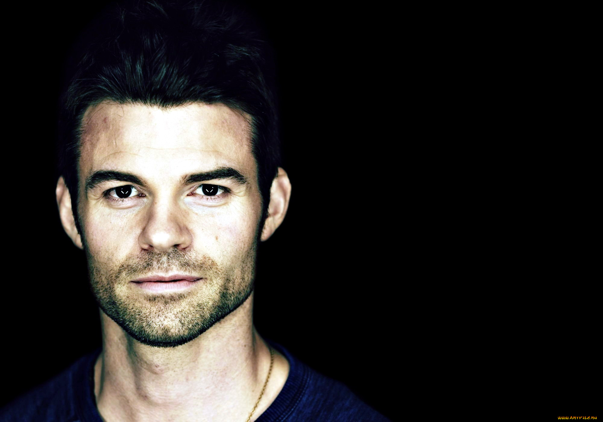 daniel, gillies, мужчины, небритость