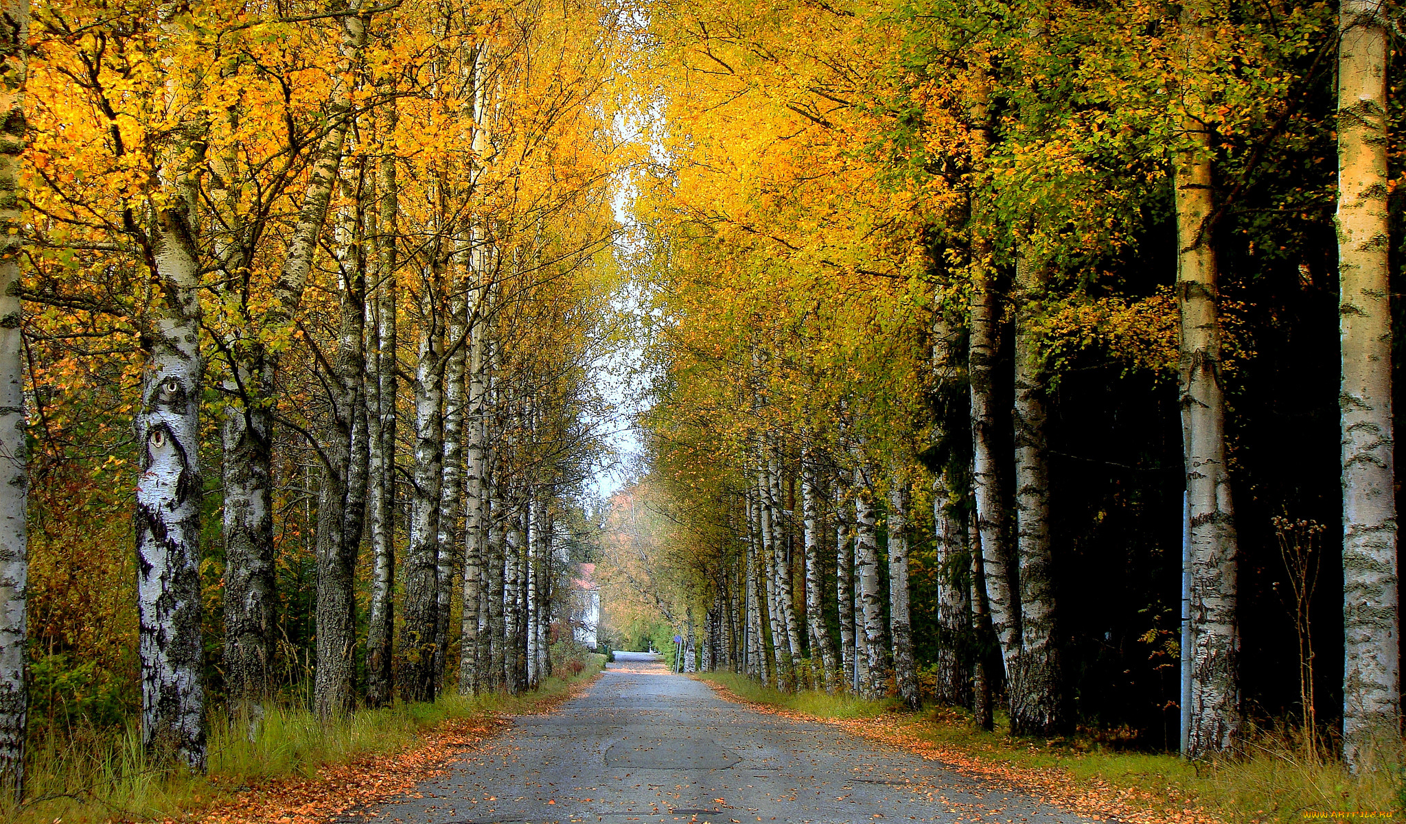 природа, дороги, натура