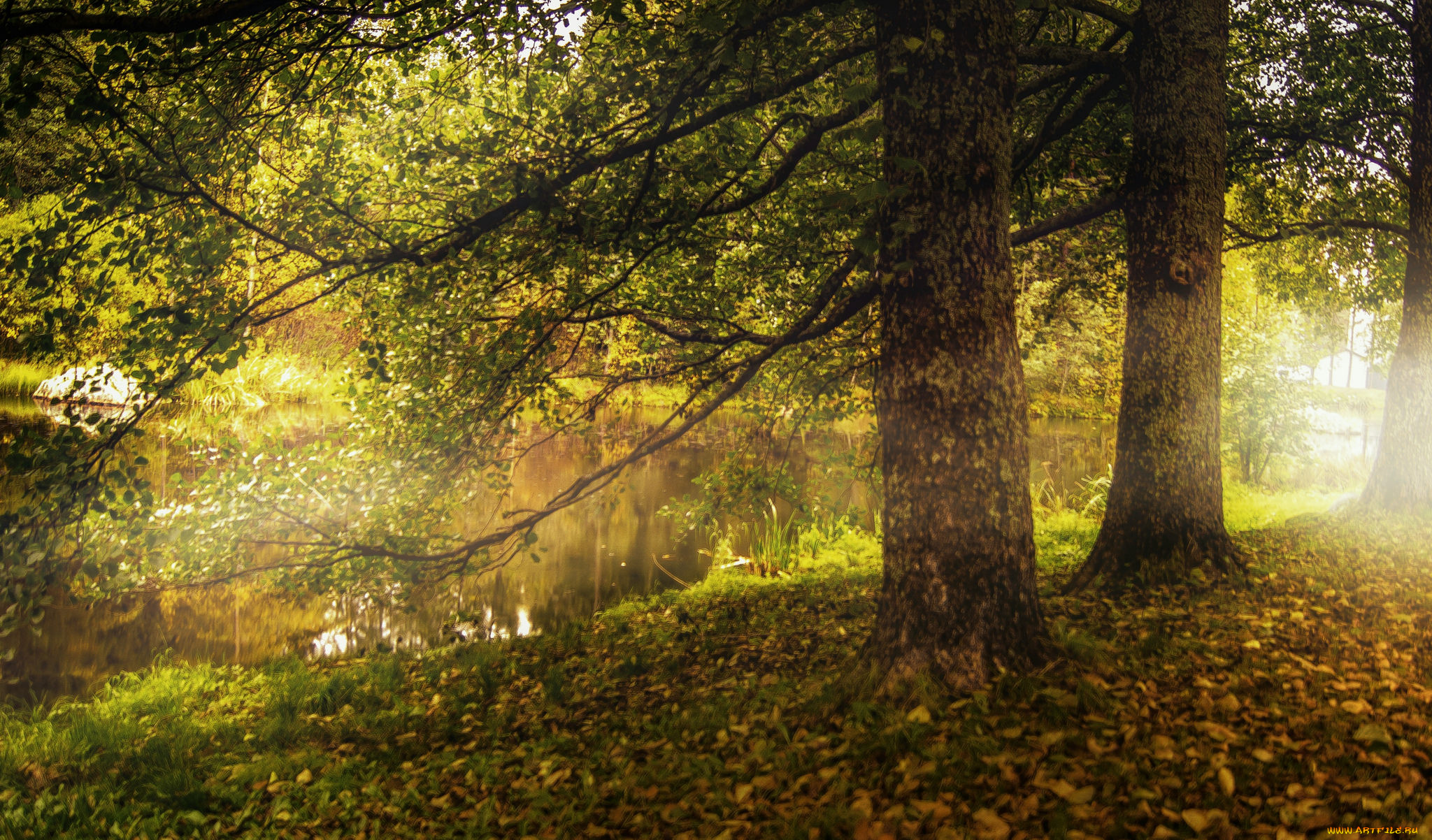 природа, реки, озера, натура