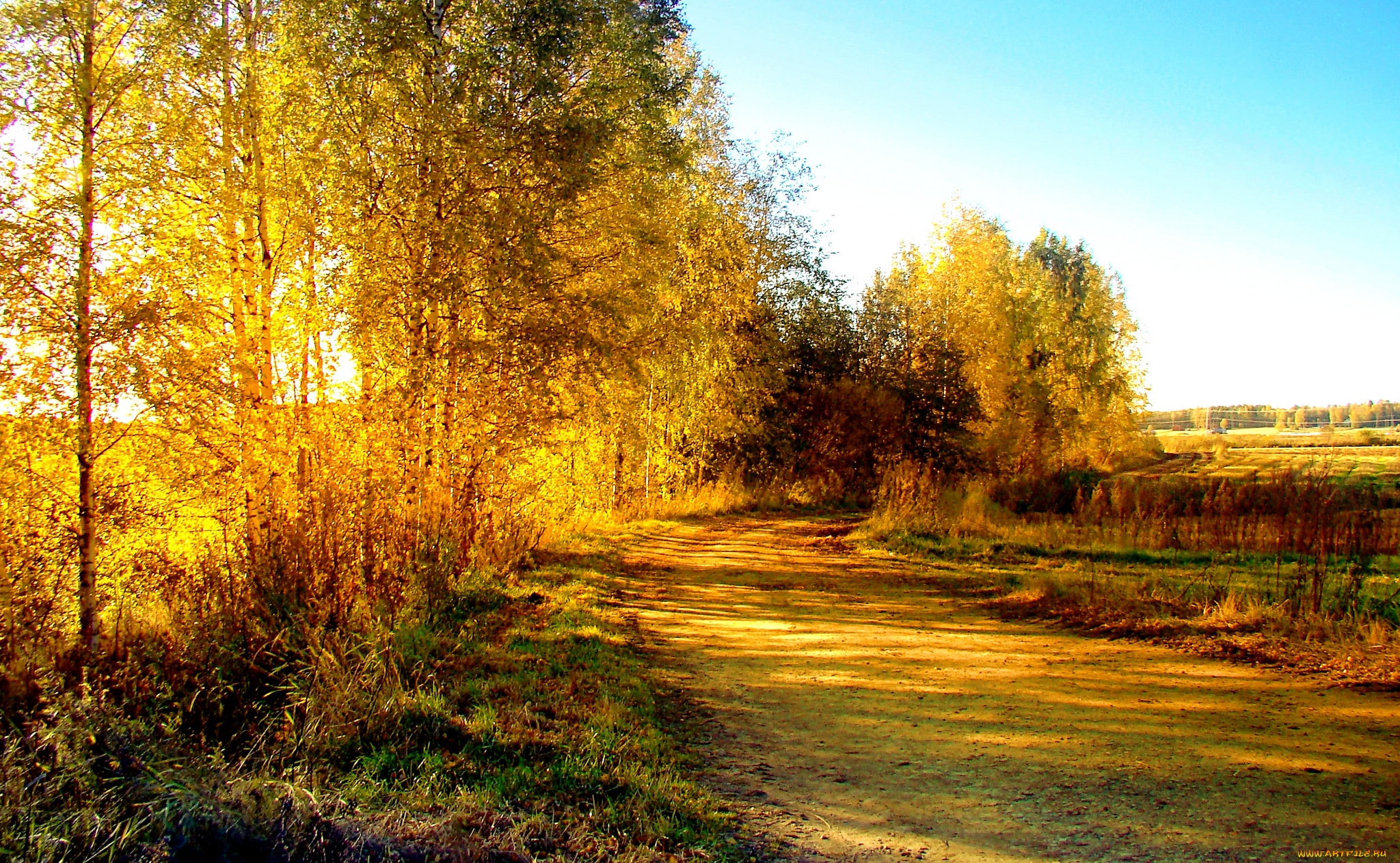 природа, дороги, натура