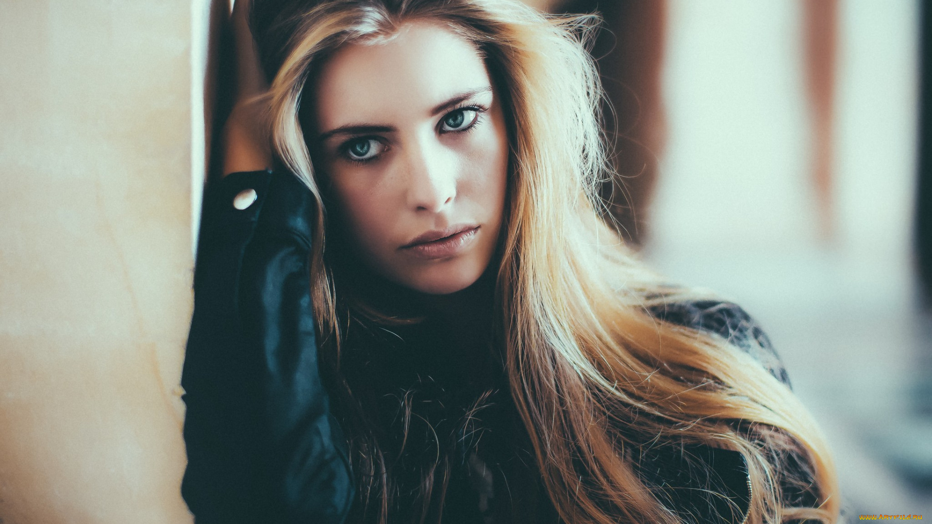 девушки, -unsort, , лица, , портреты, блондинка, куртка, стена