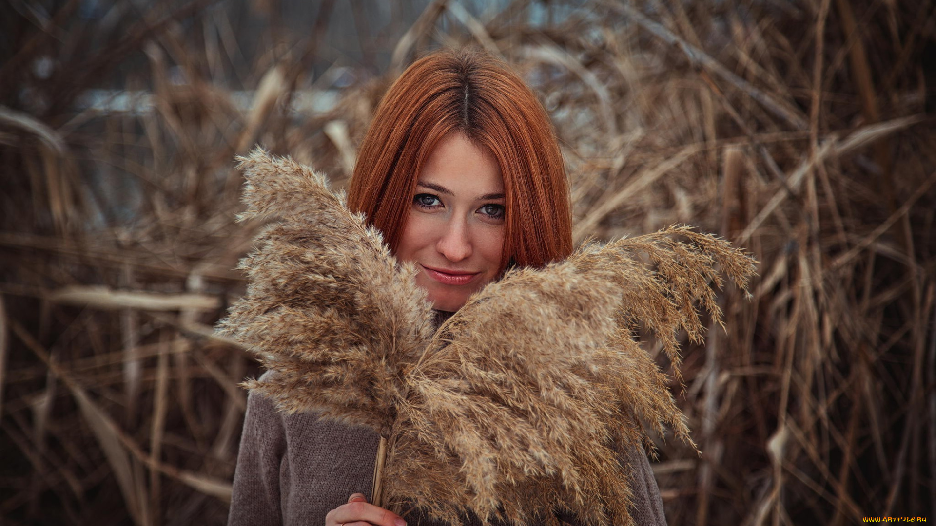 девушки, -unsort, , лица, , портреты, камыши, свитер, метелки, улыбка, рыжая