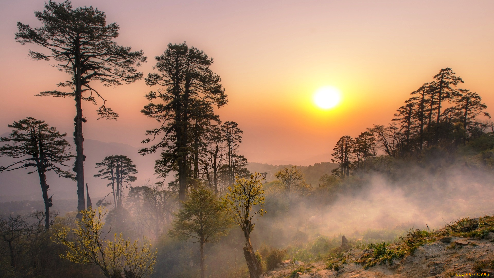 дочу-ла, , бутан, природа, восходы, закаты, горы, туман, рассвет, солнце, деревья