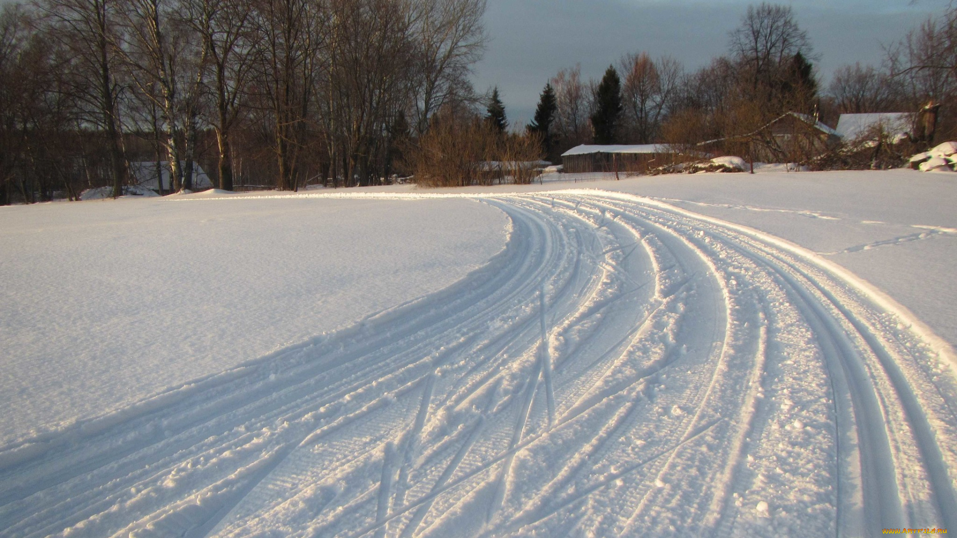 природа, дороги, деревья, снег