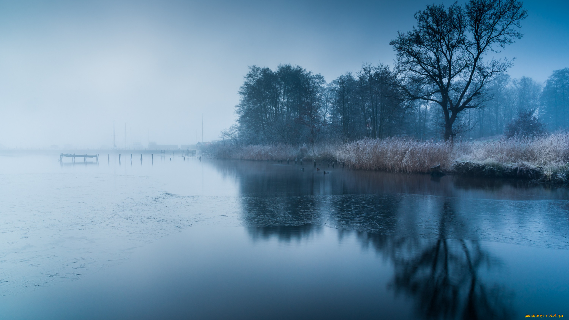 природа, реки, озера, деревья, река