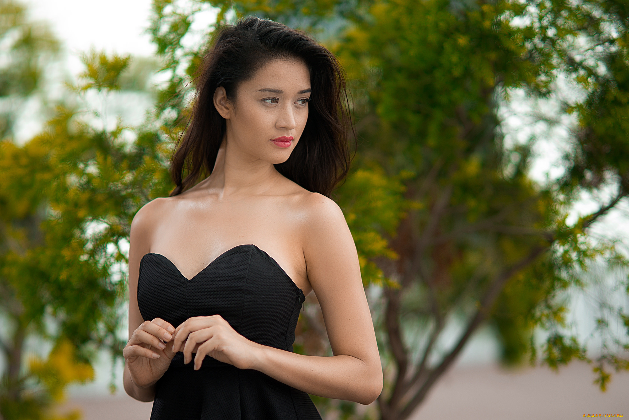 девушки, -unsort, , азиатки, взгляд, лицо