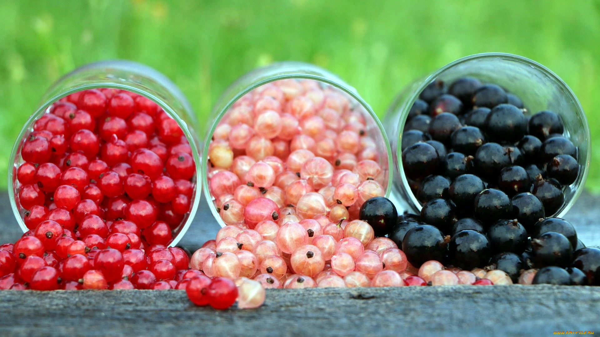 еда, смородина, ягоды, ассорти