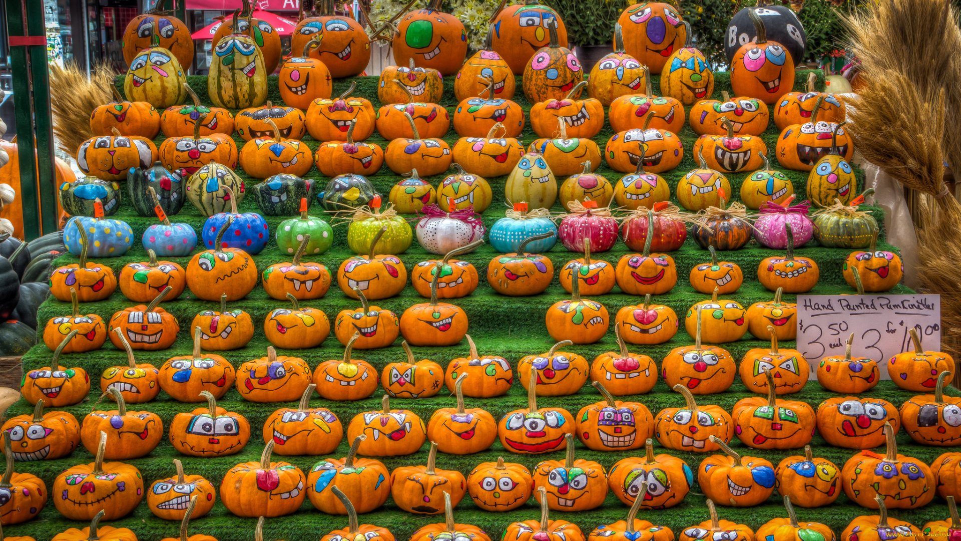 еда, тыква, снедь