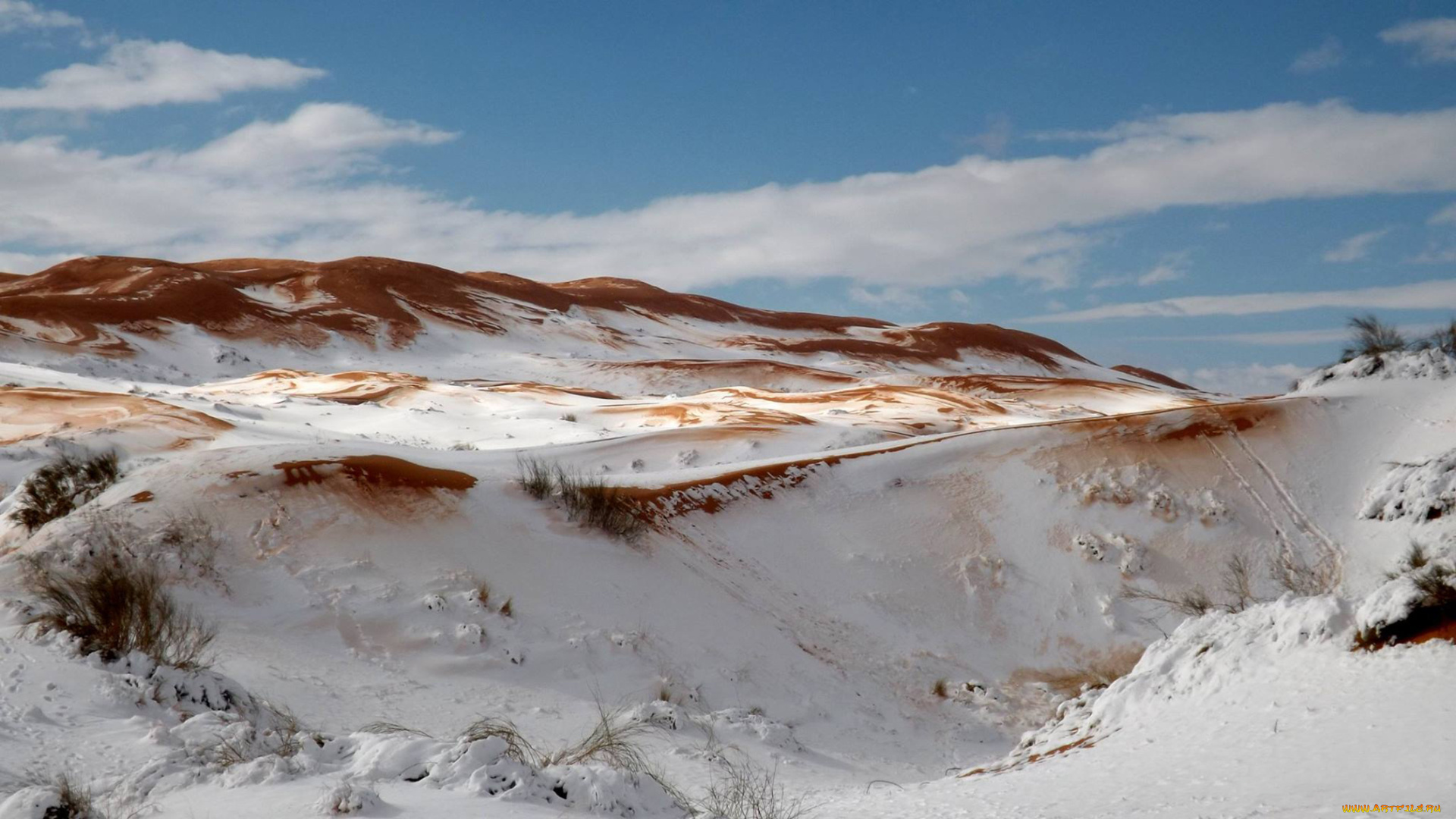 марокко, , пустыня, сахара, природа, пустыни, пейзаж, барханы, пустыня, снег, песок, сахара