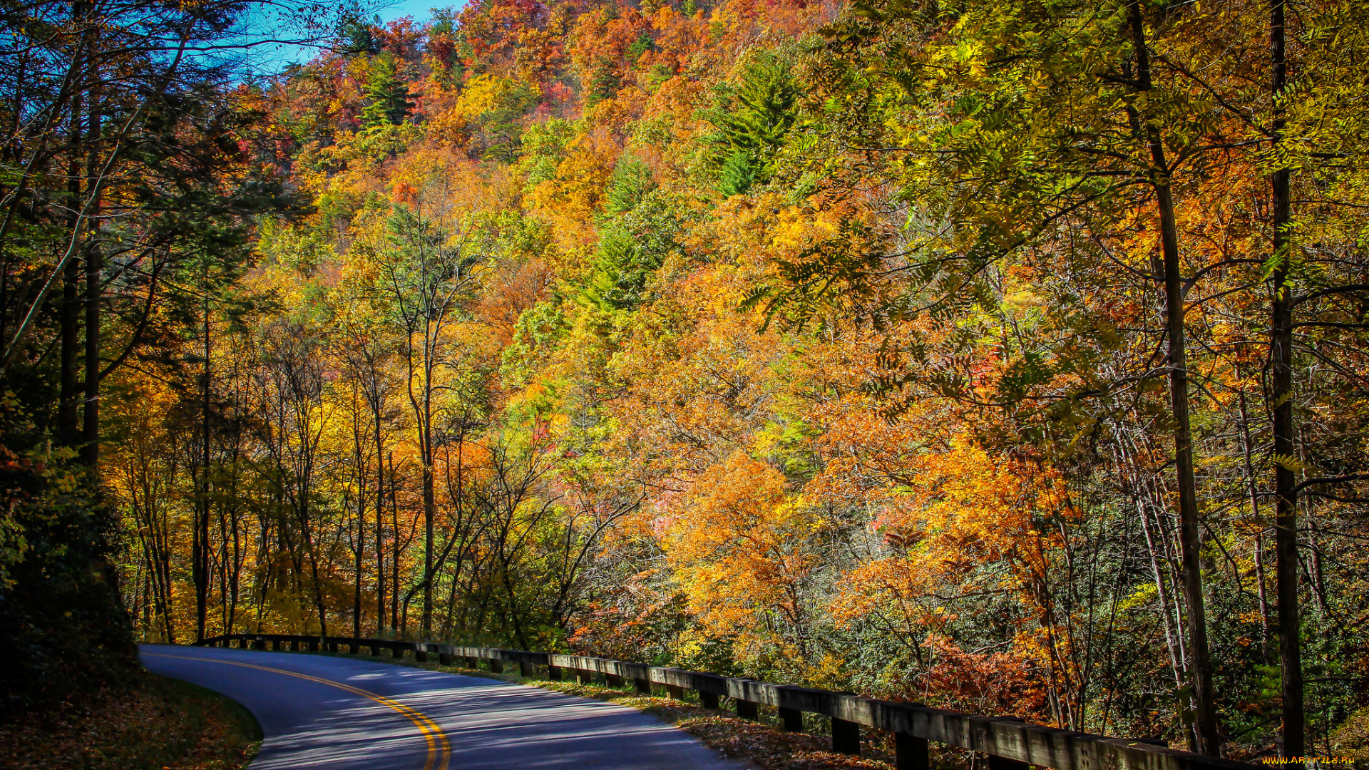 природа, дороги, простор