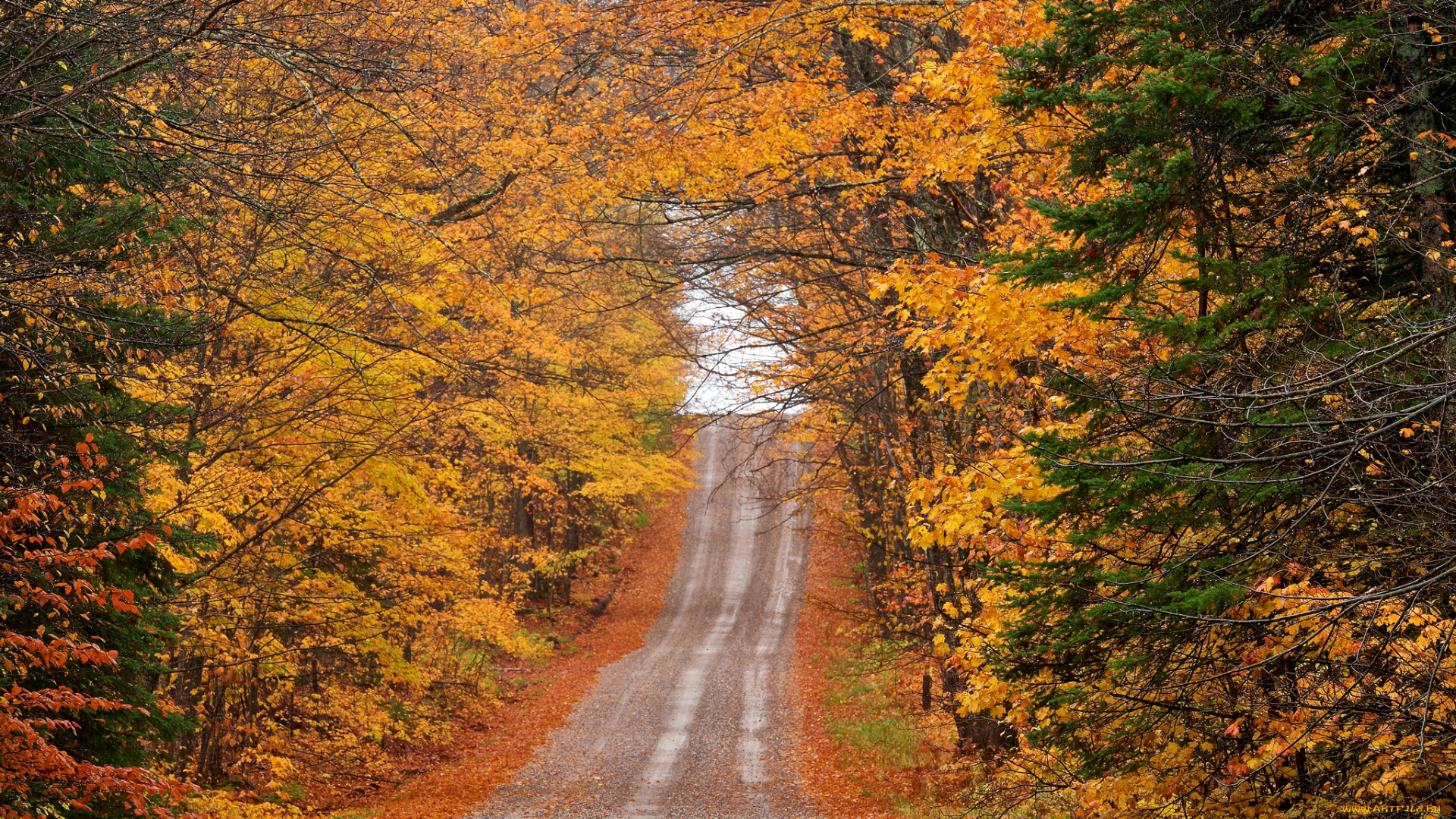 природа, дороги, простор