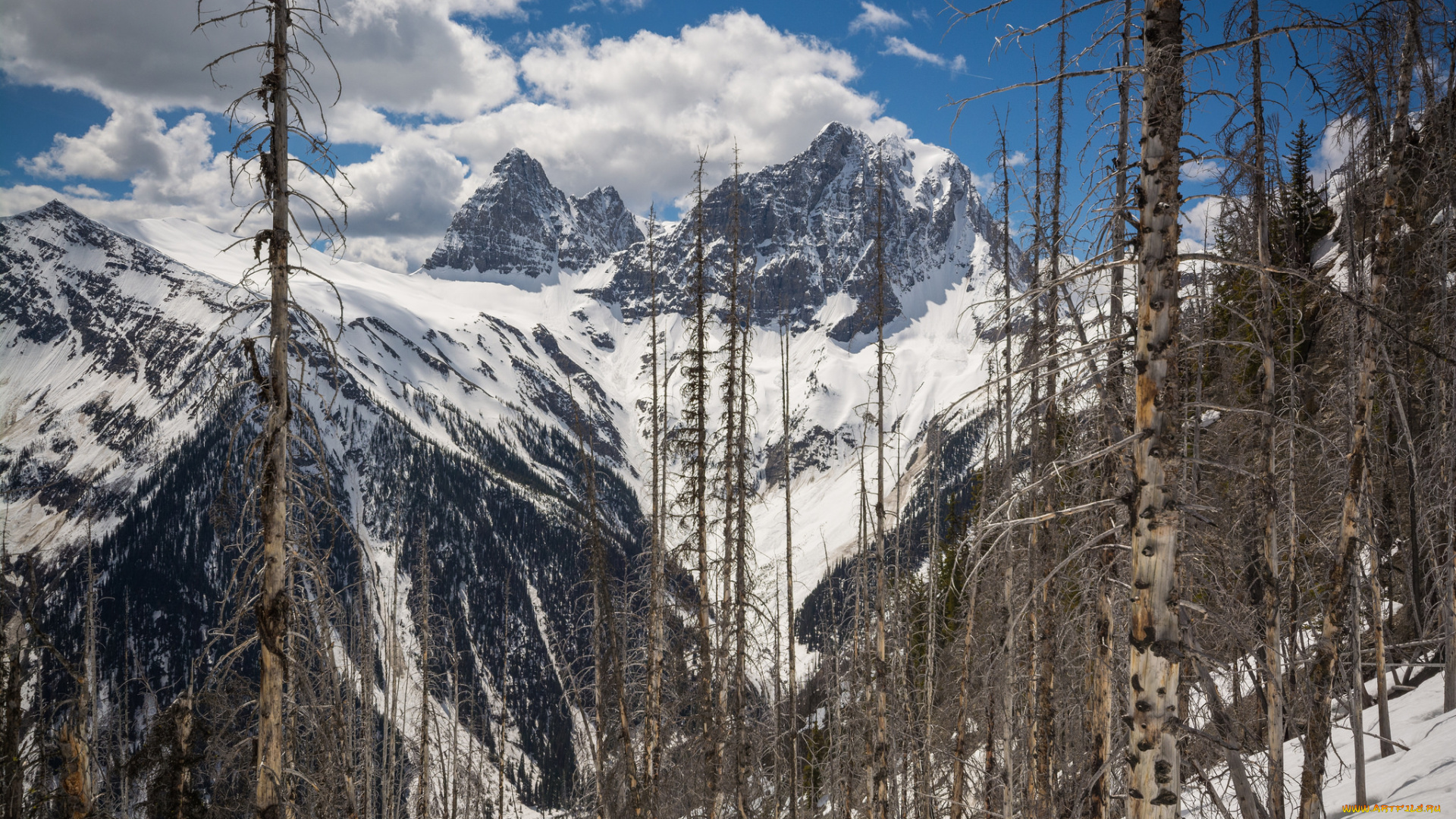 природа, горы, простор