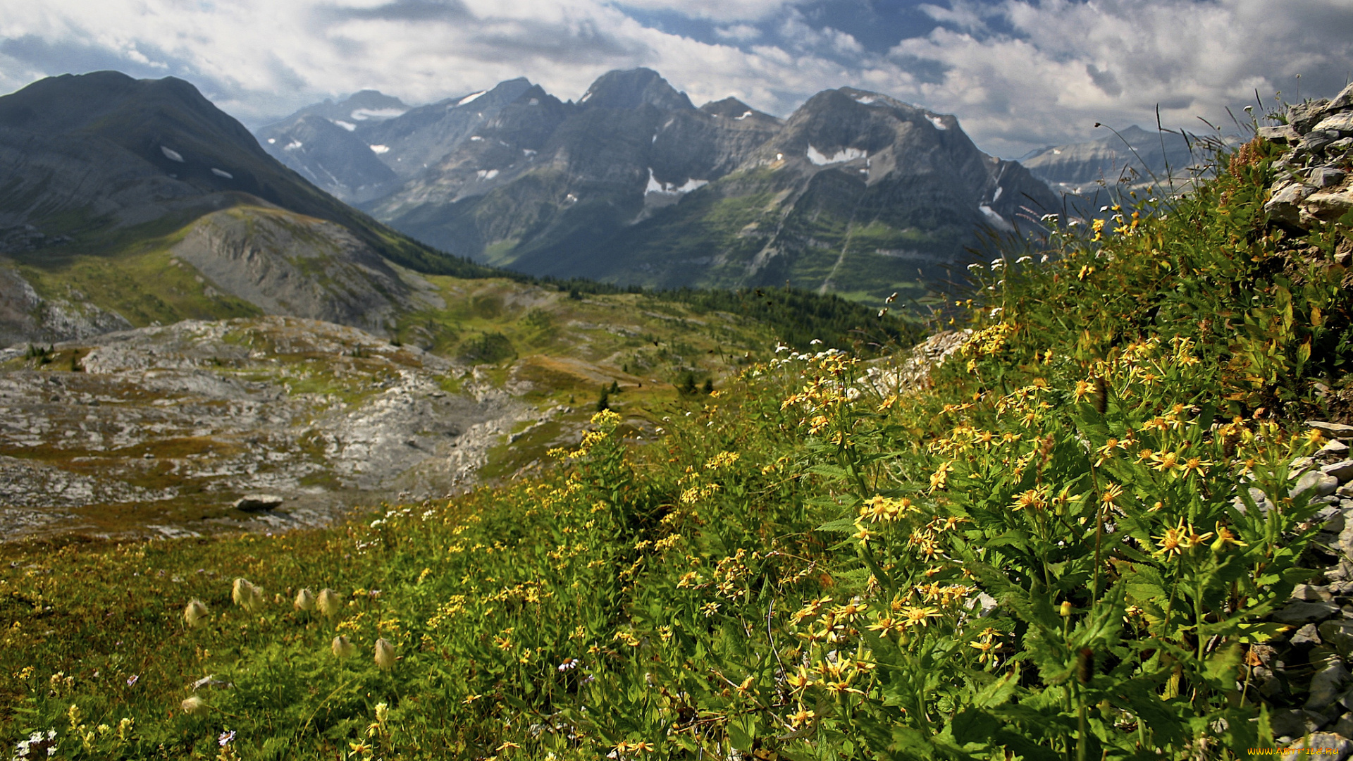 природа, горы, простор