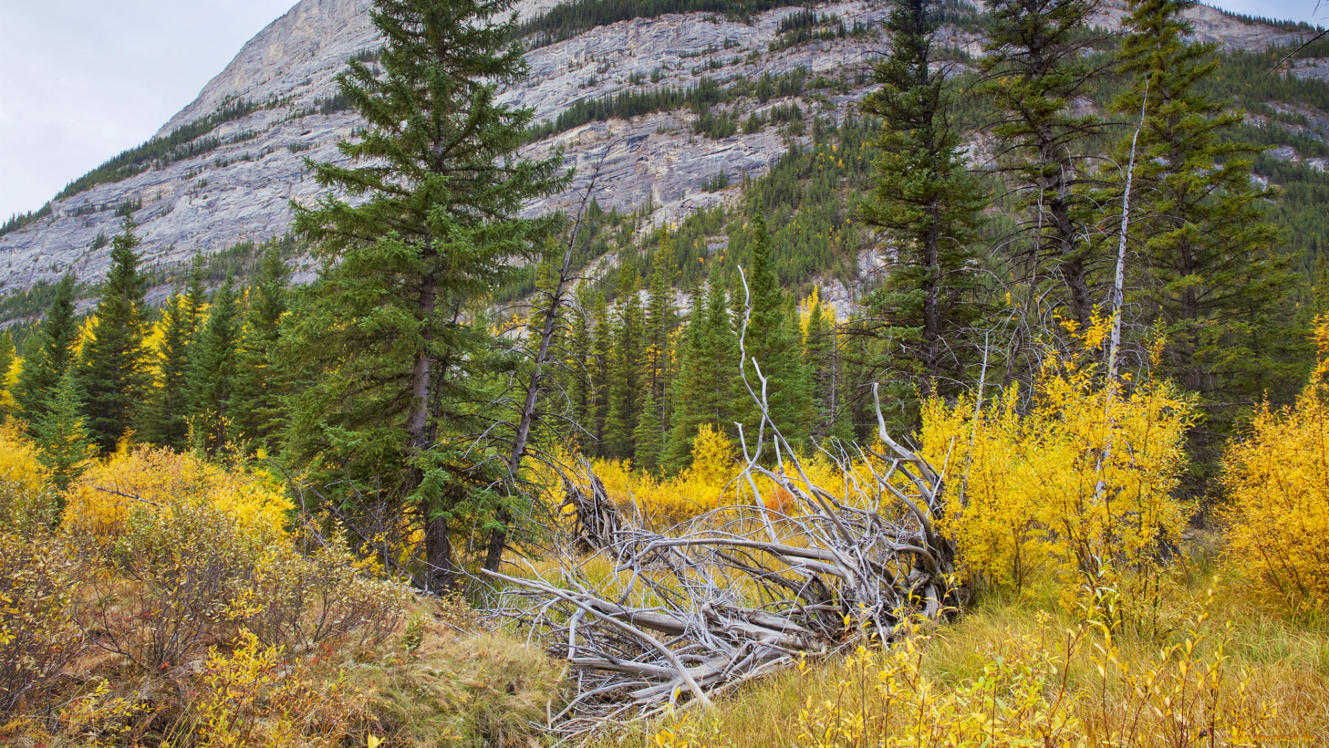 природа, горы, простор