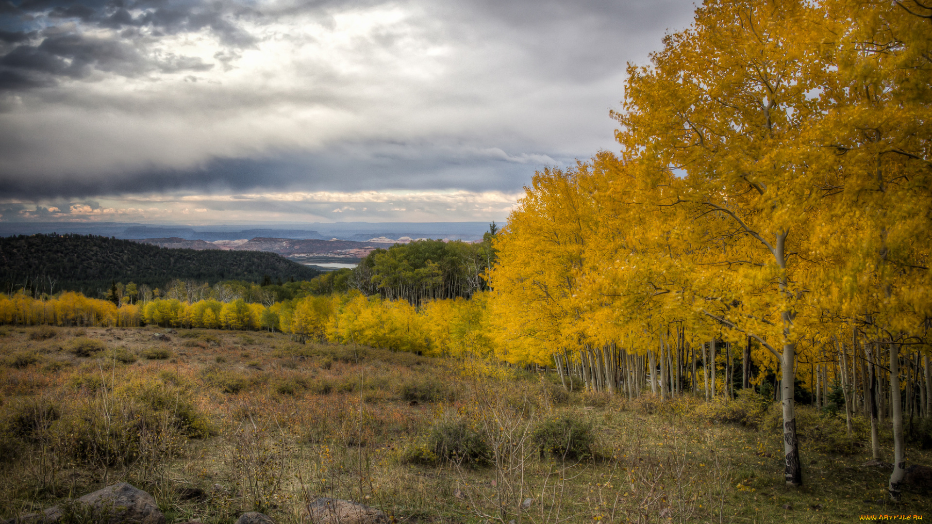 природа, пейзажи, простор