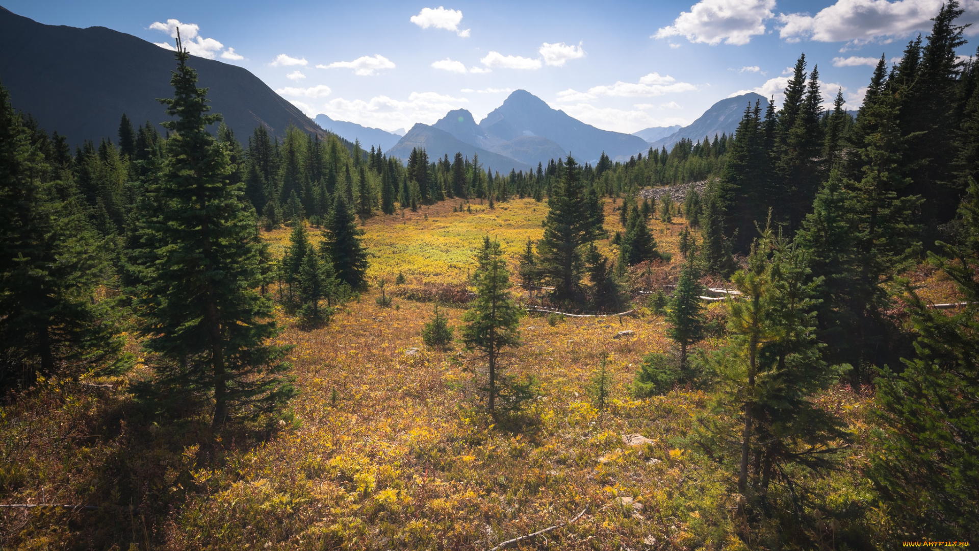 природа, пейзажи, простор