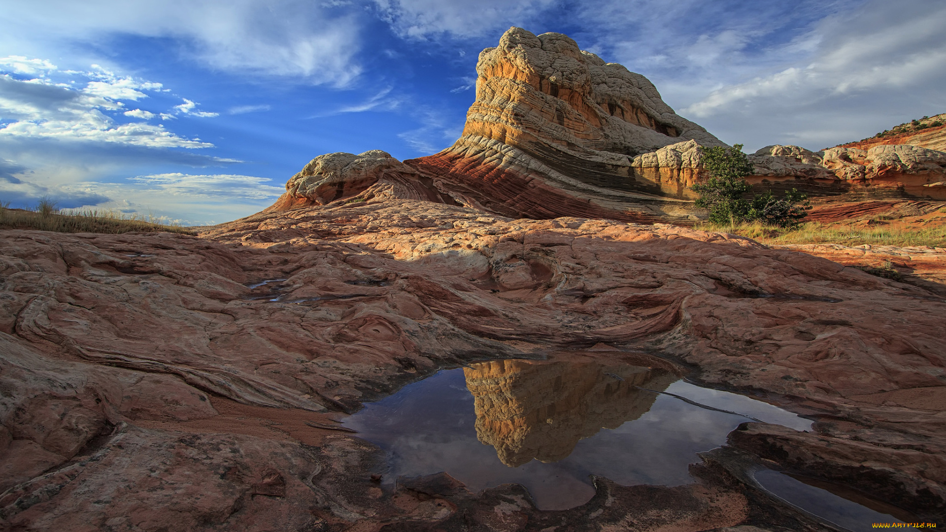 природа, пустыни, простор