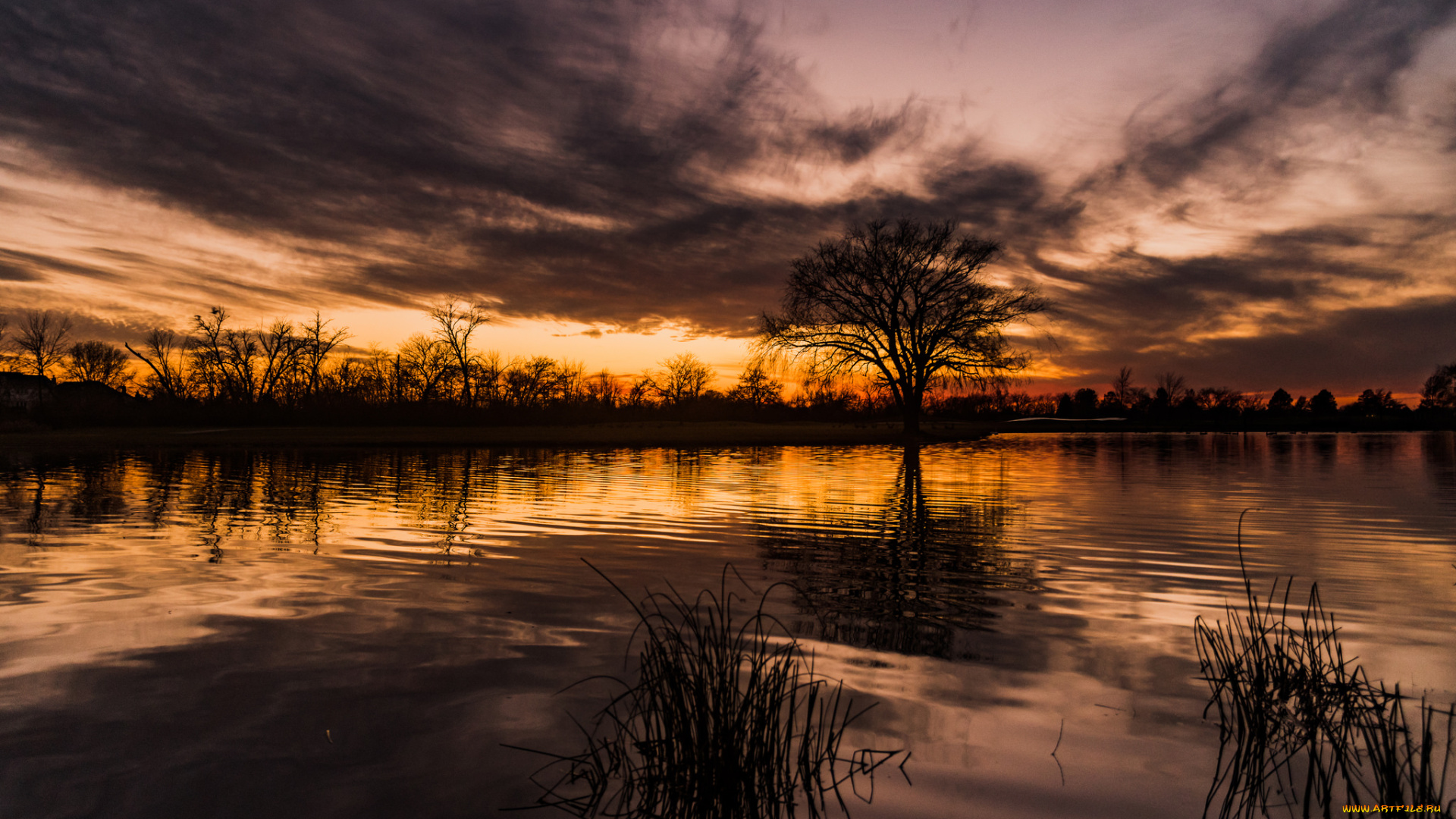 природа, реки, озера, простор