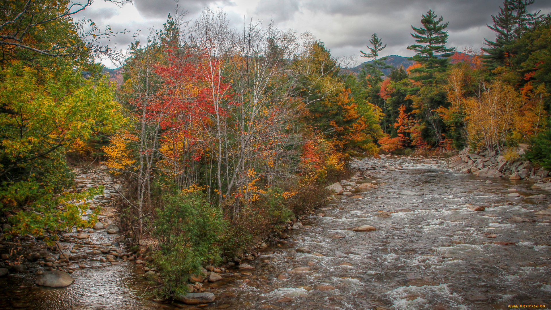 природа, реки, озера, простор