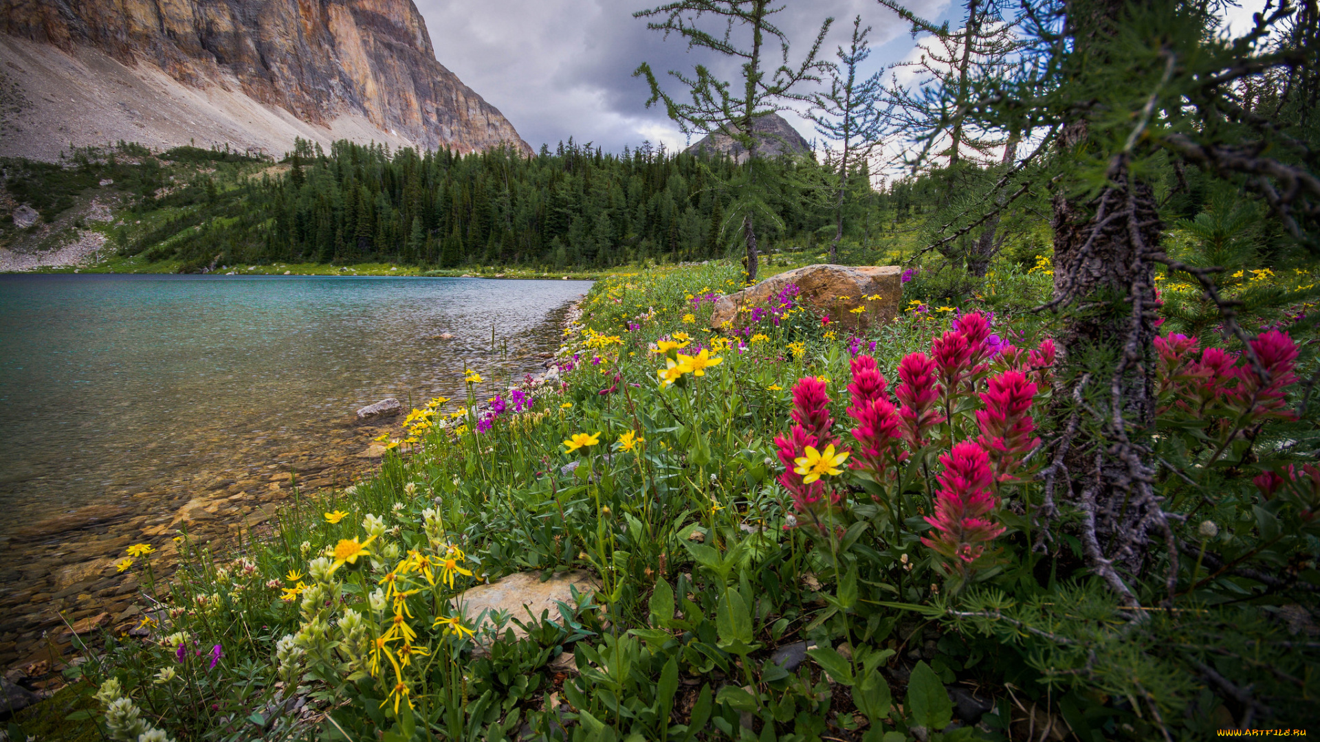 природа, реки, озера, простор