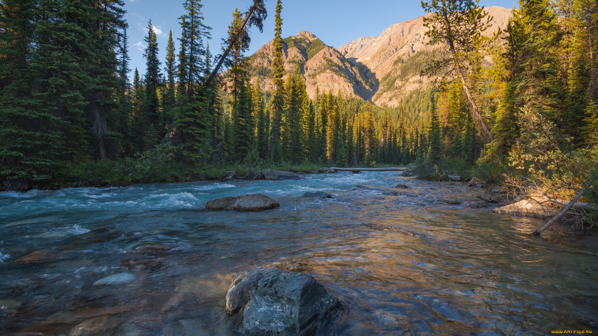 природа, реки, озера, простор