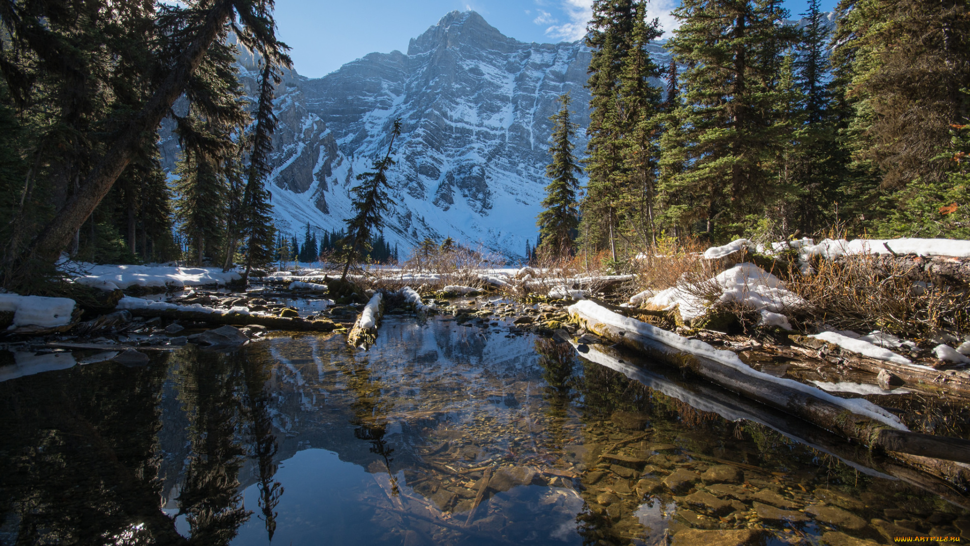 природа, реки, озера, простор