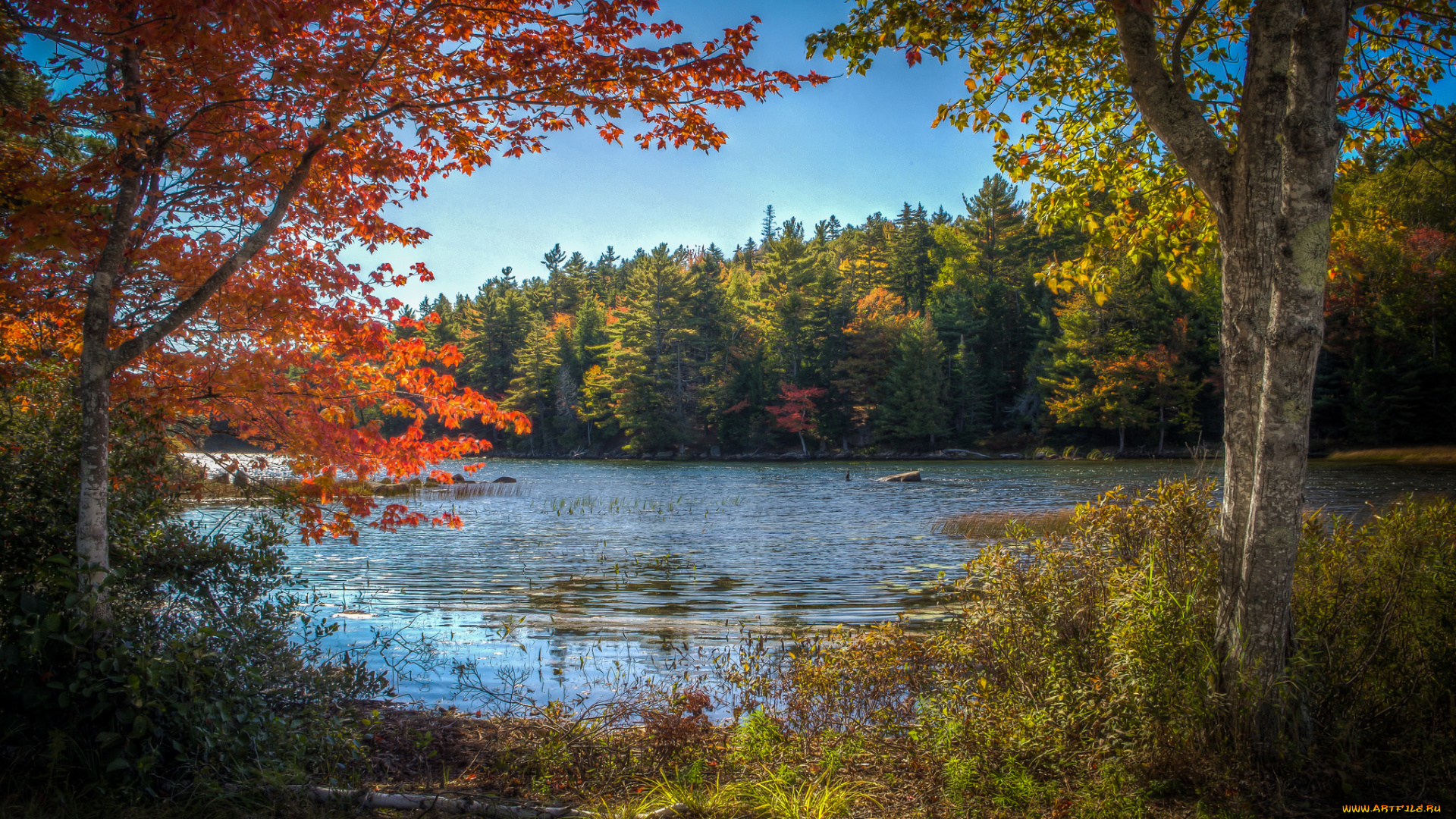 природа, реки, озера, простор