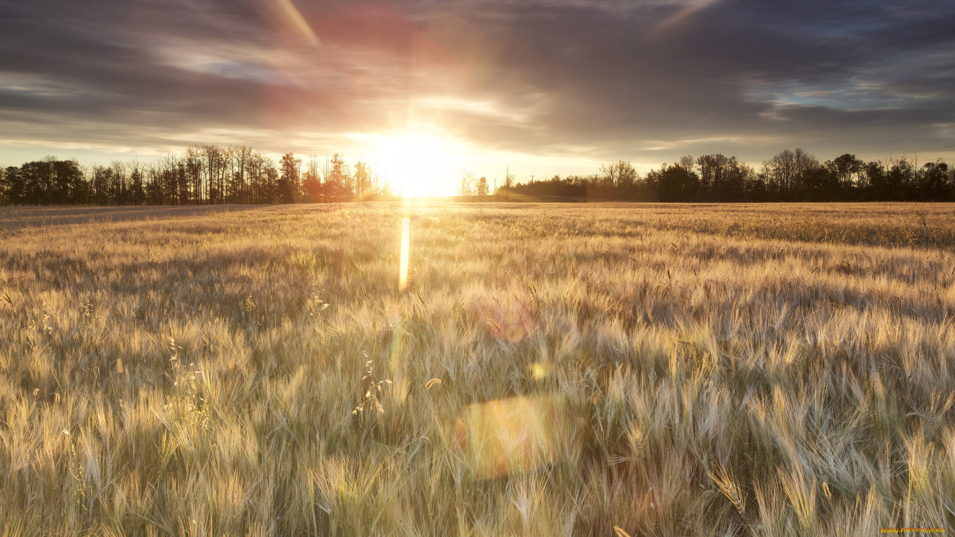 природа, восходы, закаты, простор