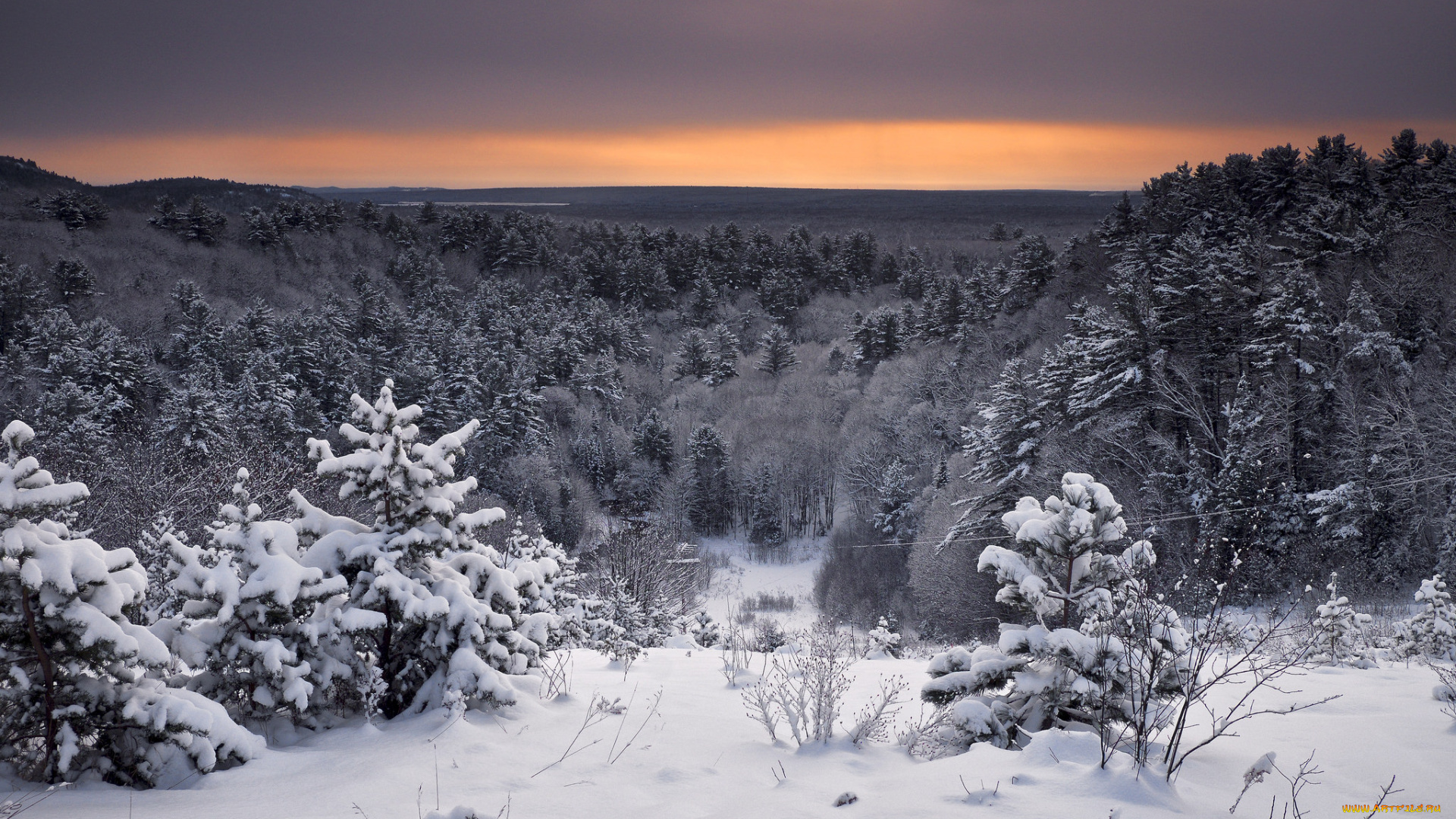 природа, зима, простор