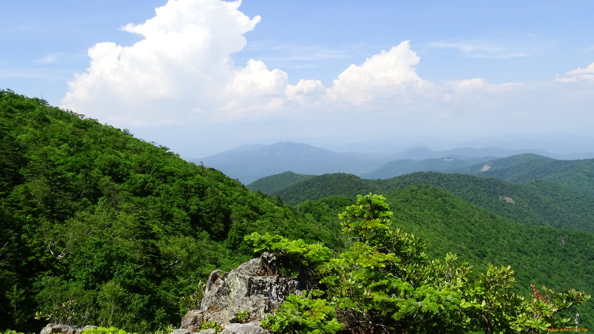 сихотэ-, алинь, природа, горы, облака, сопки, россия, сихотэ-, алинь, приморье