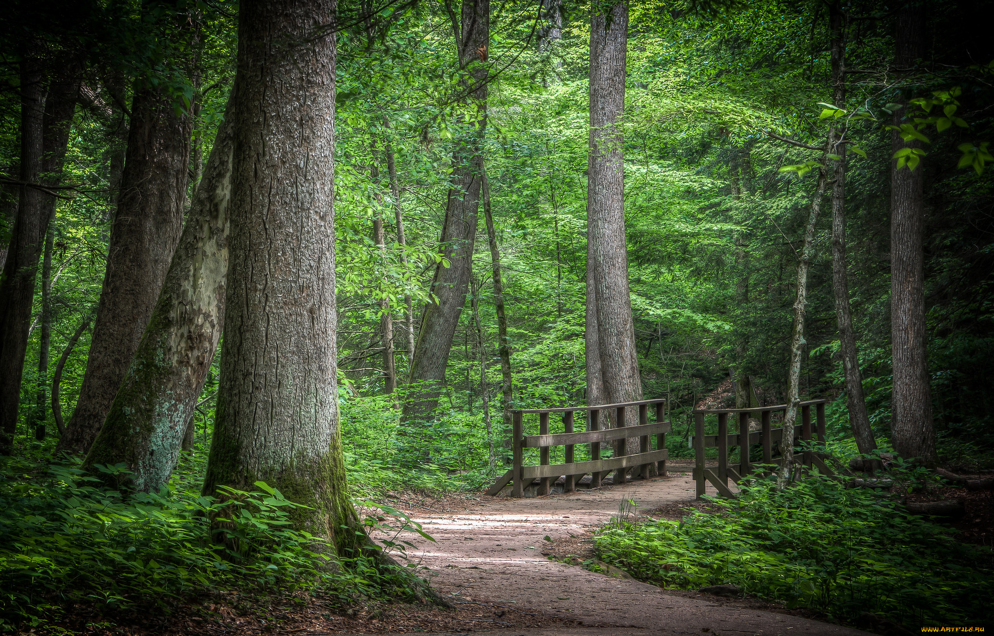 природа, дороги, простор