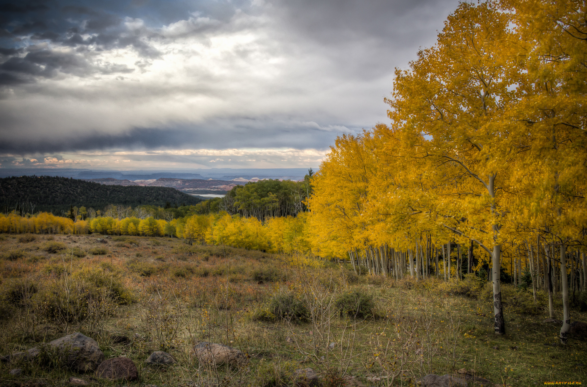 природа, пейзажи, простор