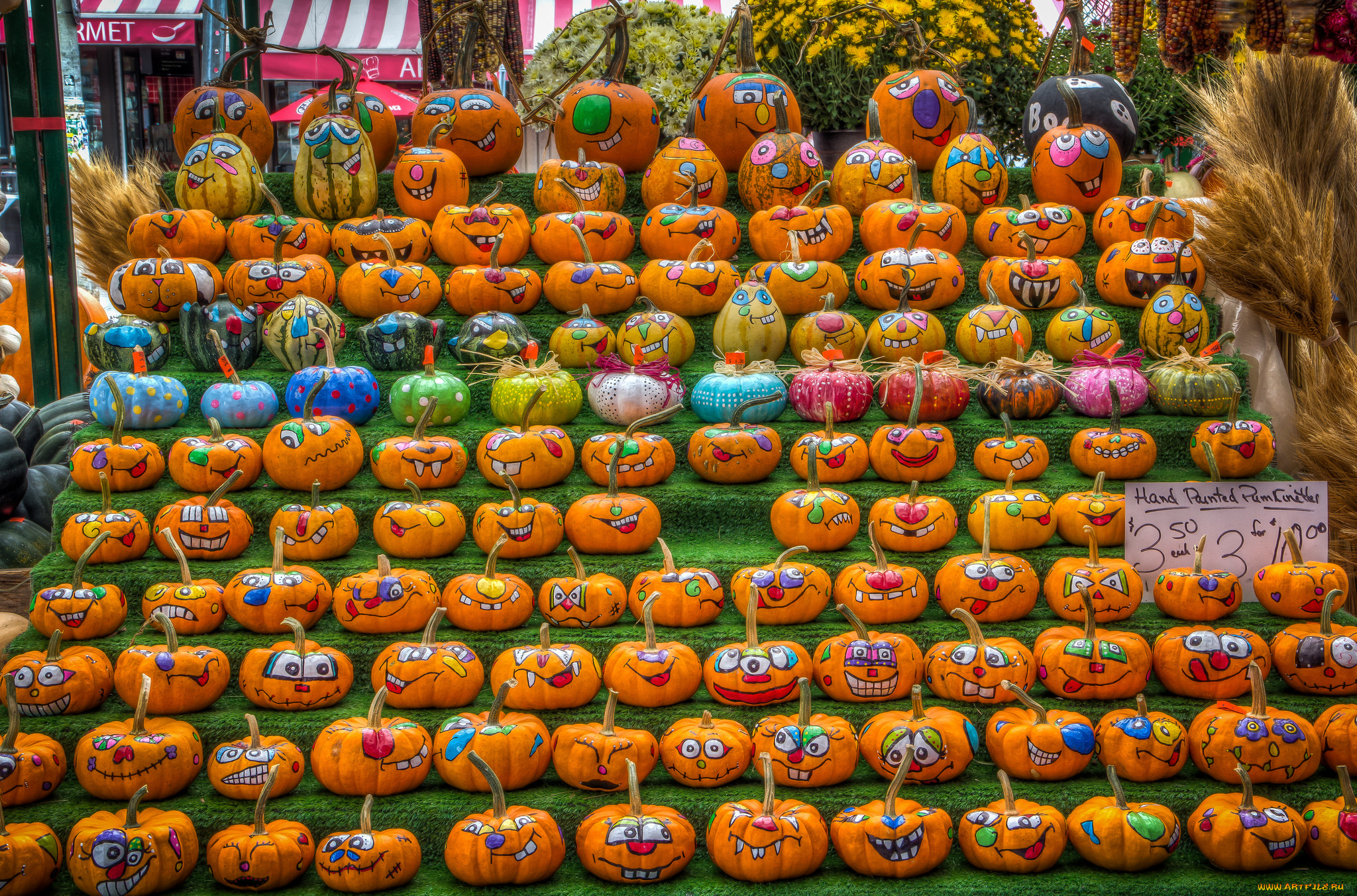 еда, тыква, снедь