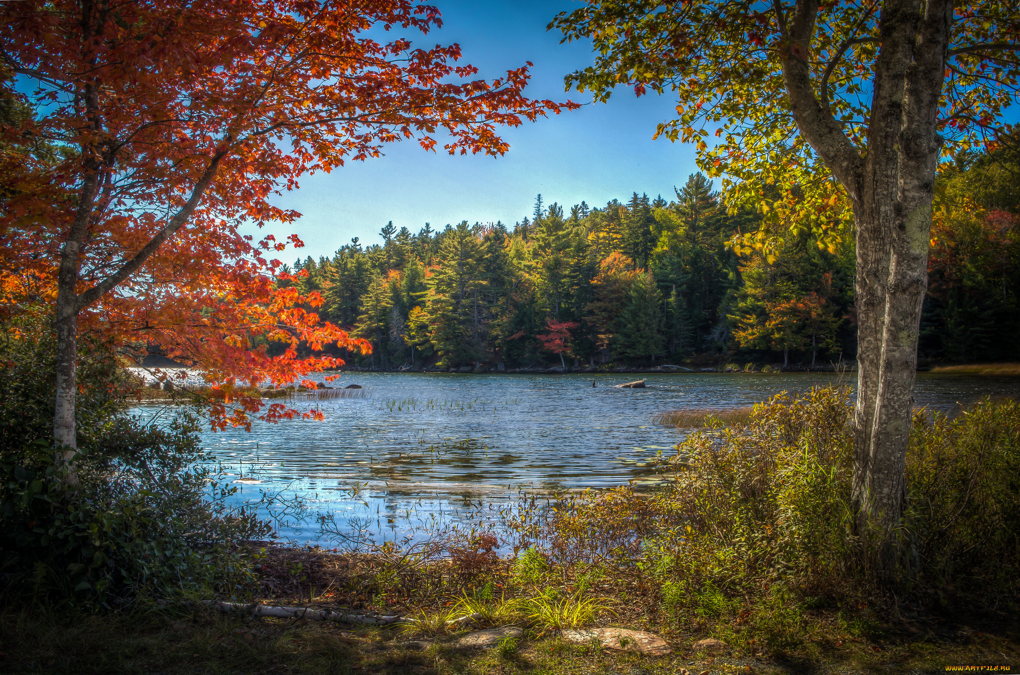 природа, реки, озера, простор